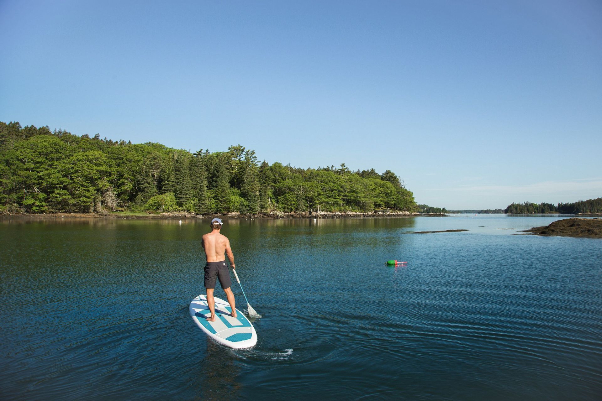 Man paddleboarding on a calm blue body of water, with a forested shoreline in the background on a sunny day.