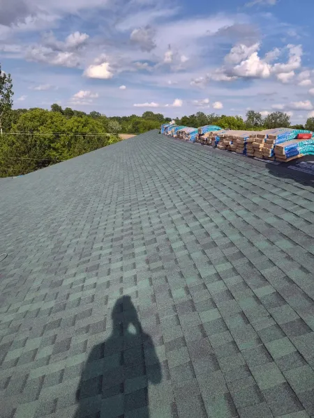 Wide green shingle rooftop with a shadow in the foreground, trees to the left, and blue tarps under a cloudy sky