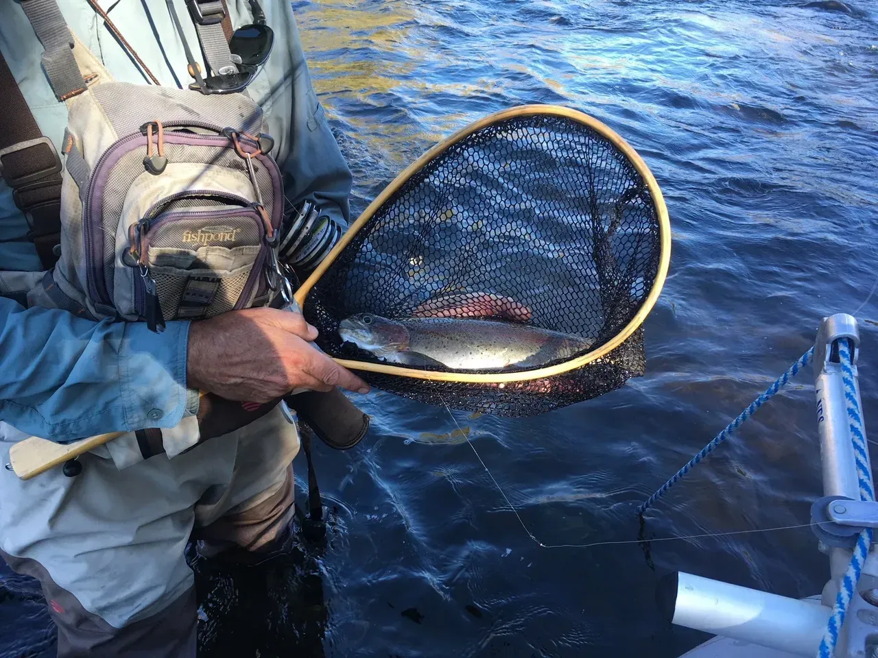 A man is holding a net with a fish in it in the water.