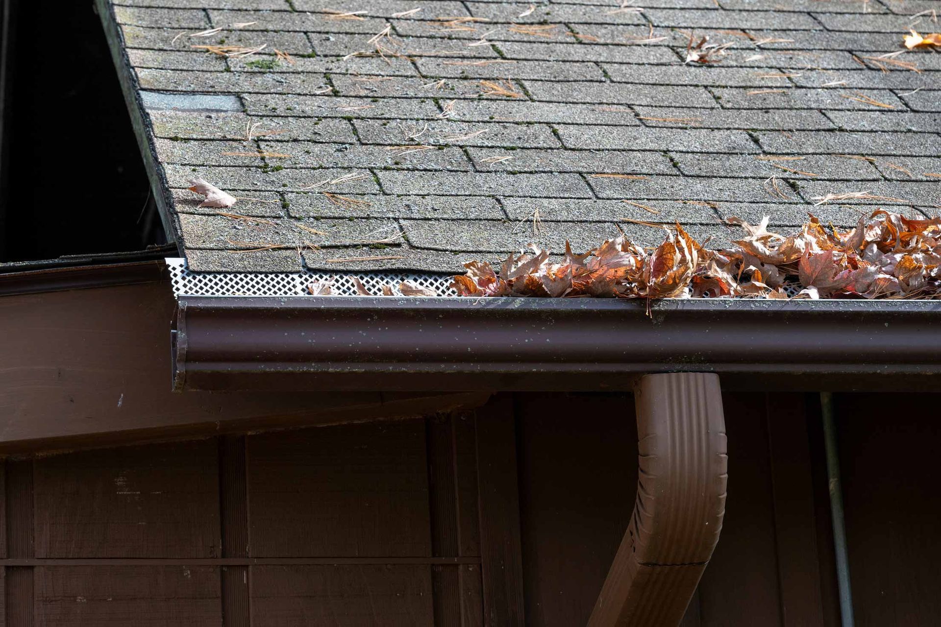 Leaf-covered roof gutter with a downspout on a brown house exterior