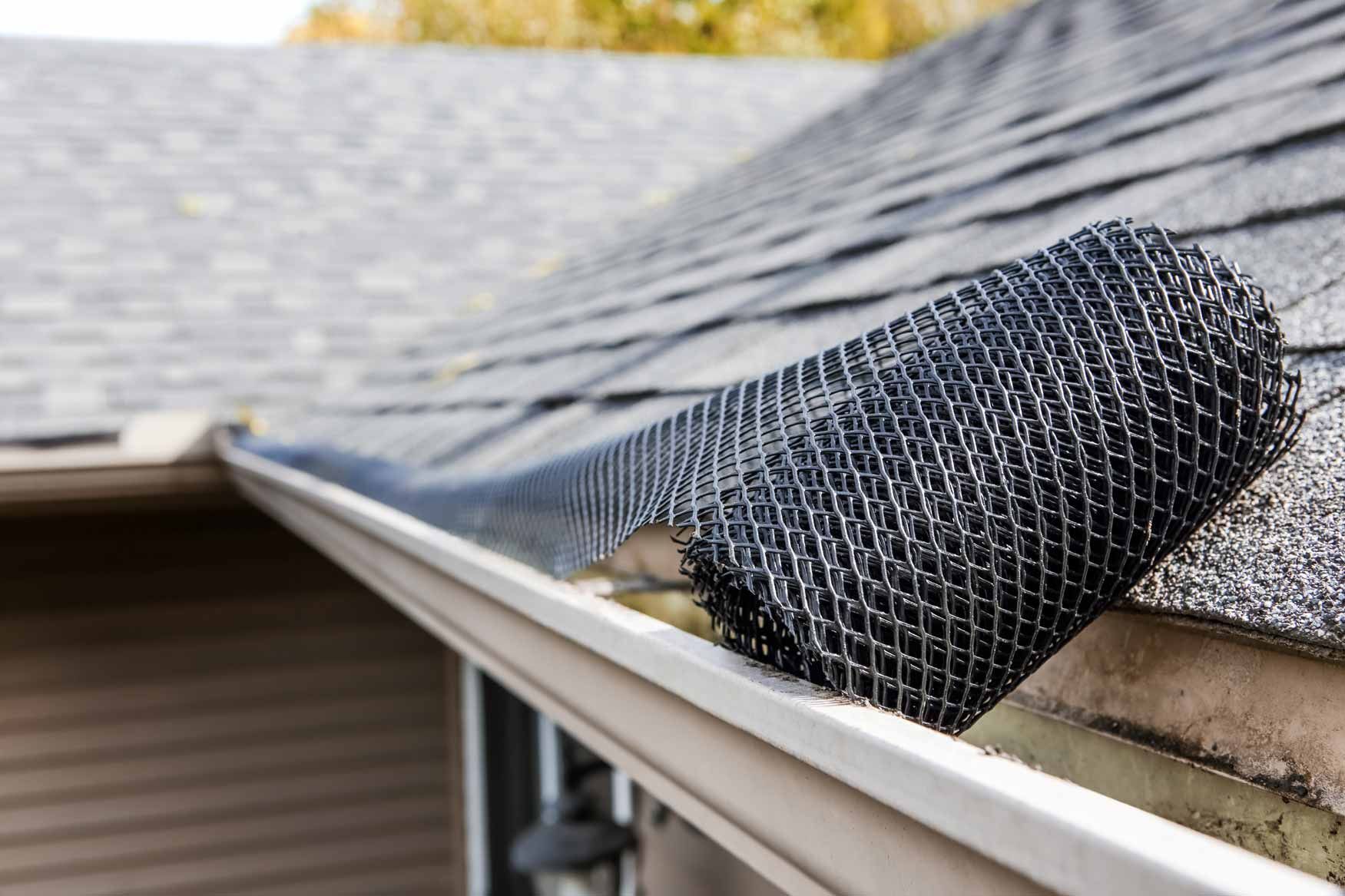 Black gutter guard rolled over a roof edge on a gray shingled house.