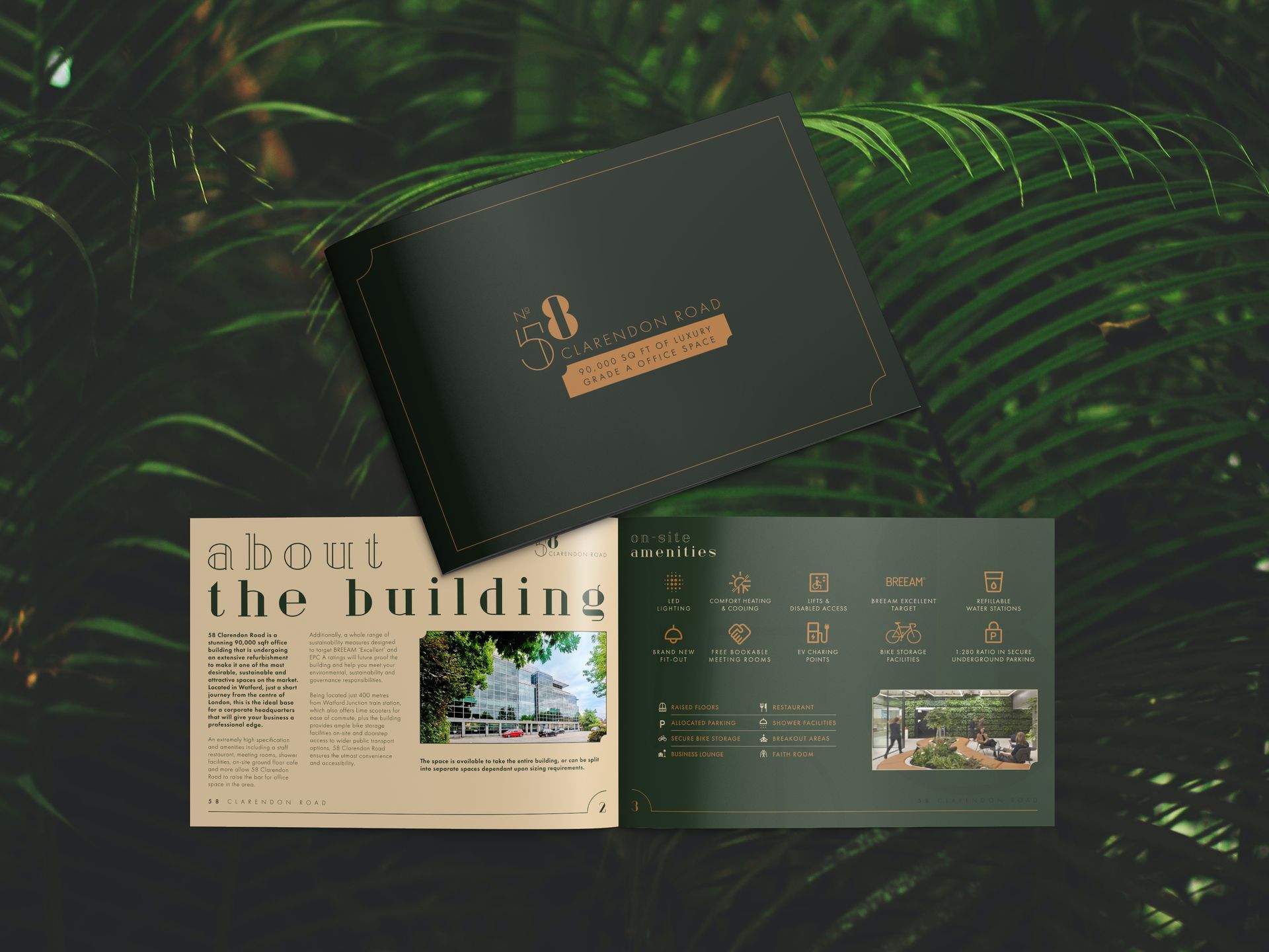 58 Clarendon road brochure design