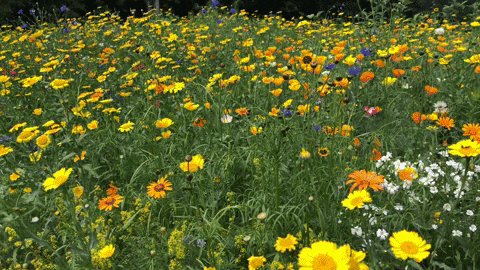 Enjoy life's simple pleasures!
