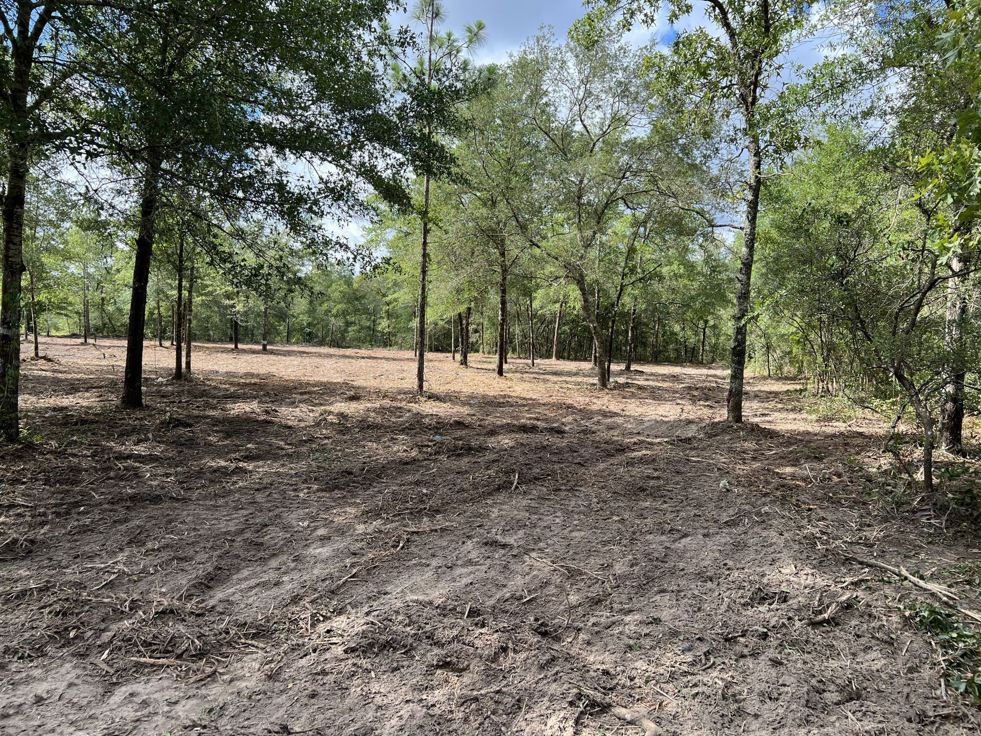 land management services 19