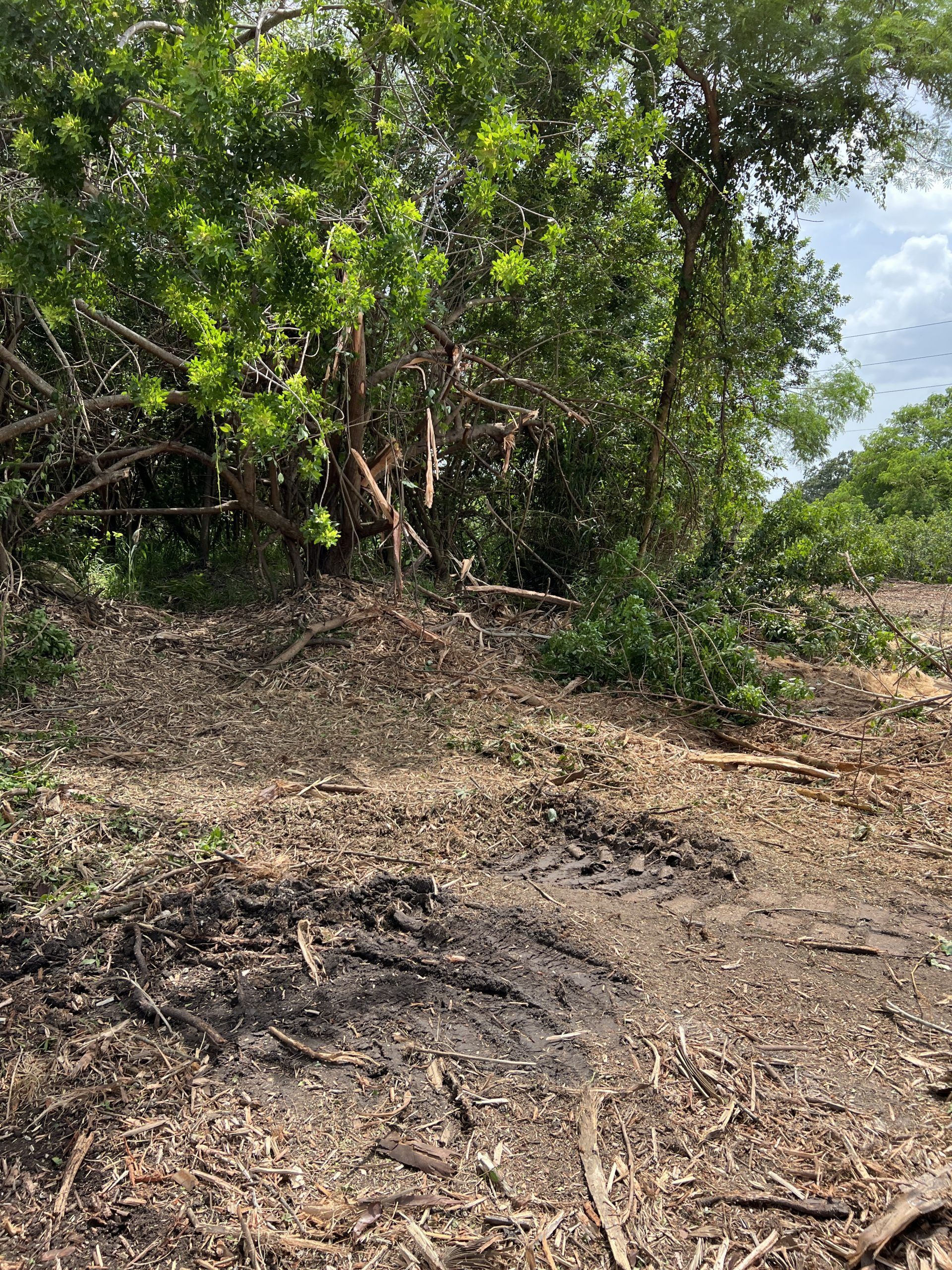 land management services 2