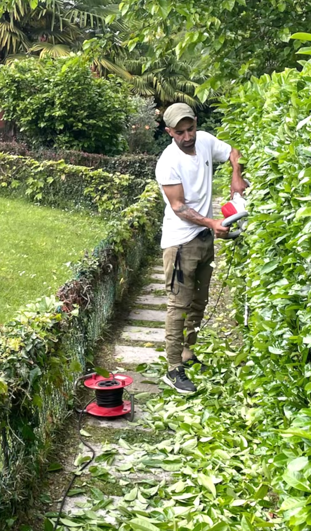 Un giardiniere sta potando una siepe accanto a uno stretto sentiero del giardino, con un tagliasiepi rosso sull'erba.