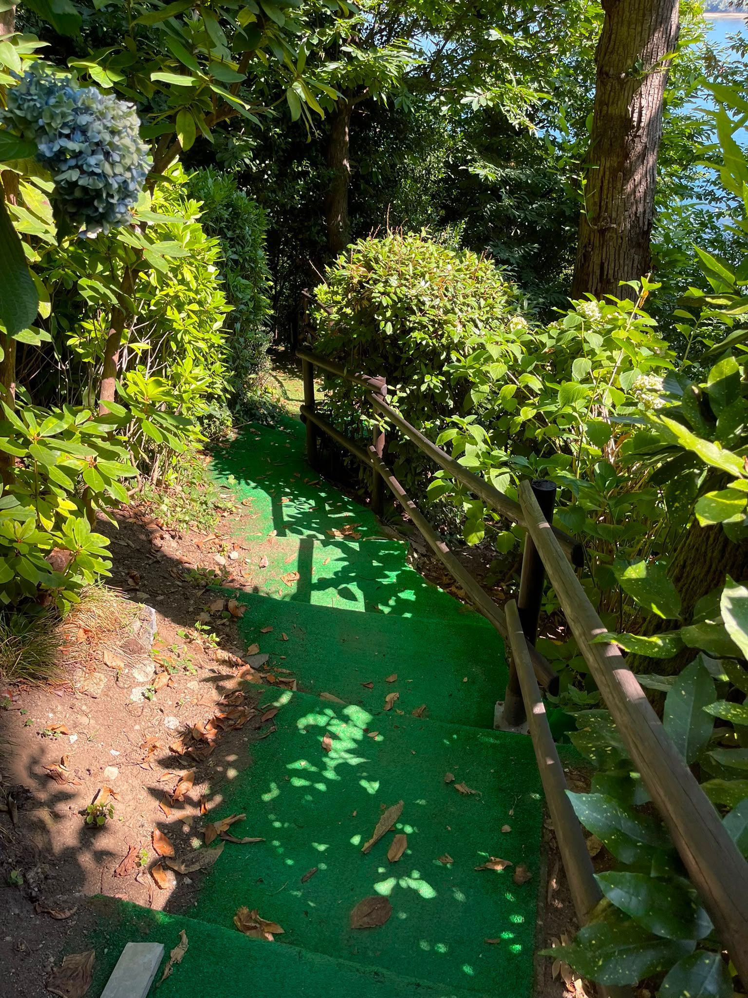 Stretto sentiero da giardino con copertura vegetale verde, ringhiera in legno e fitta vegetazione soleggiata su entrambi i lati.