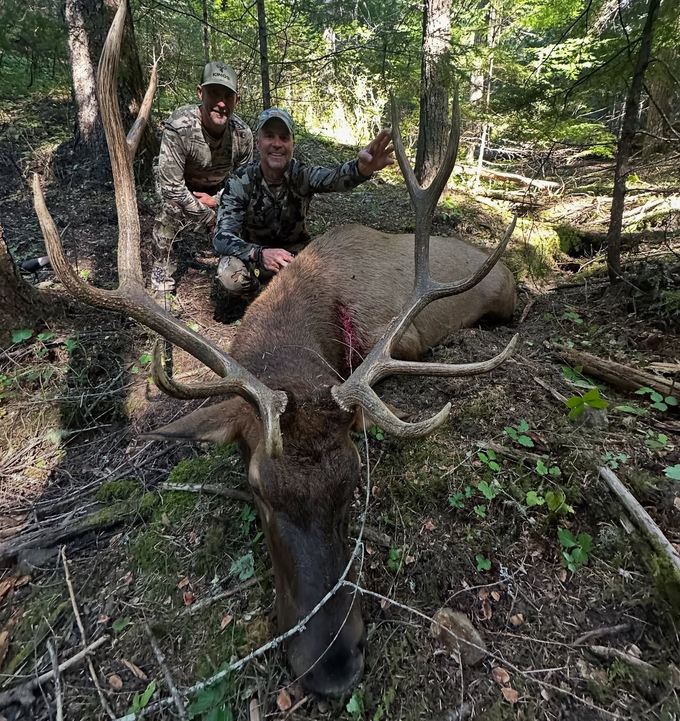 Elk Hunt