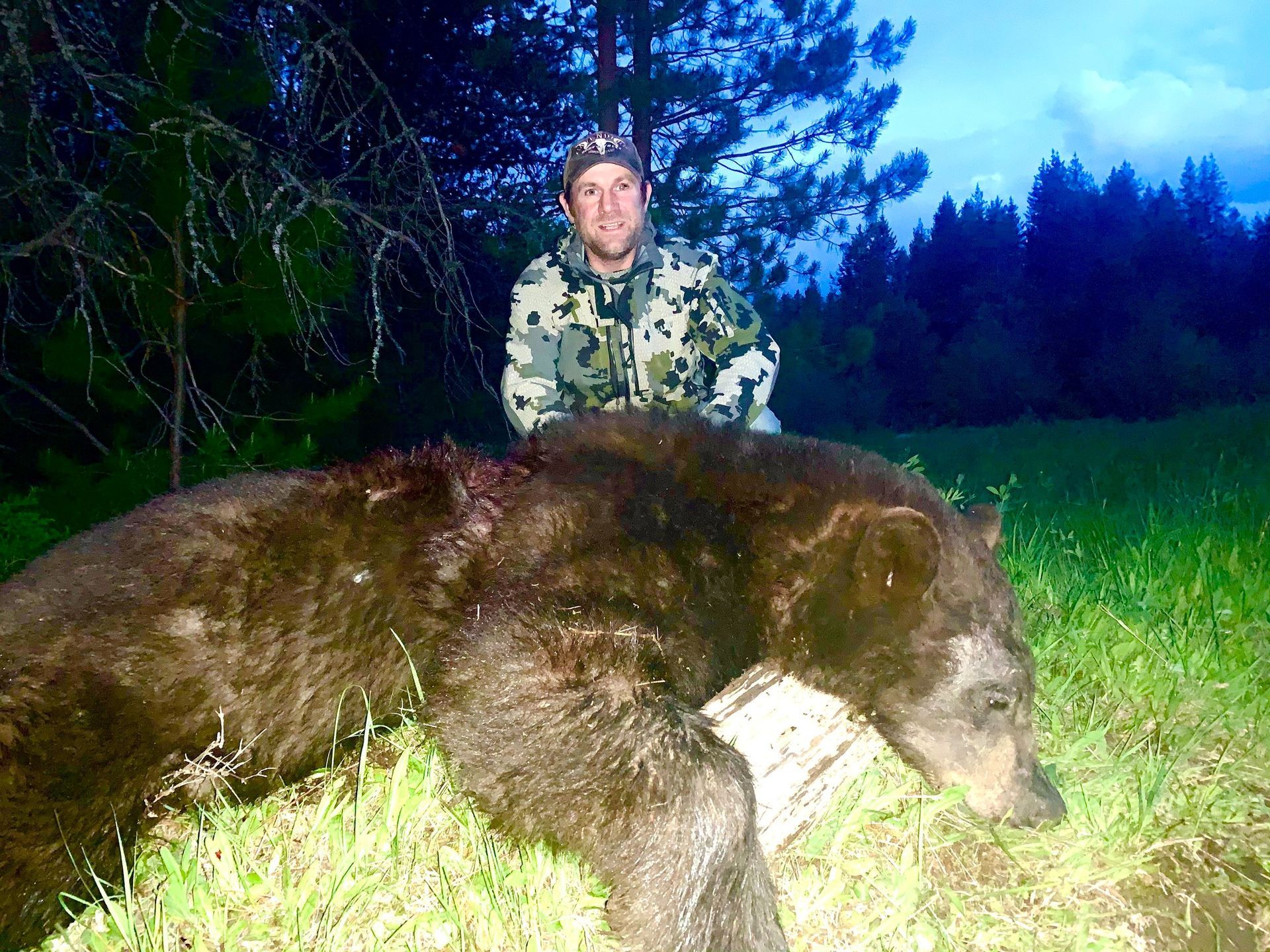 Idaho Whitetail Guides Bear Hunts