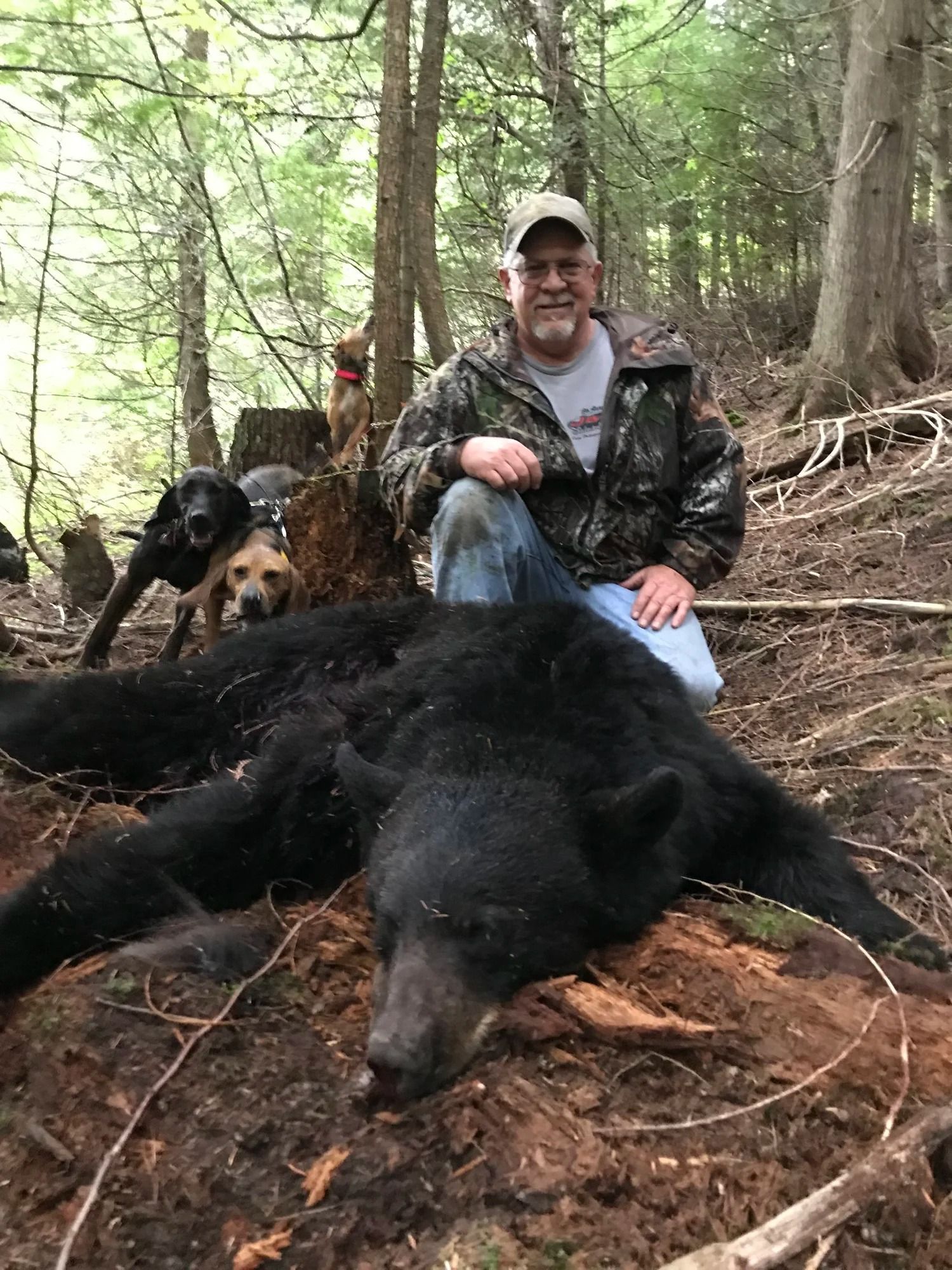 Idaho Whitetail Guides Bear Hunts