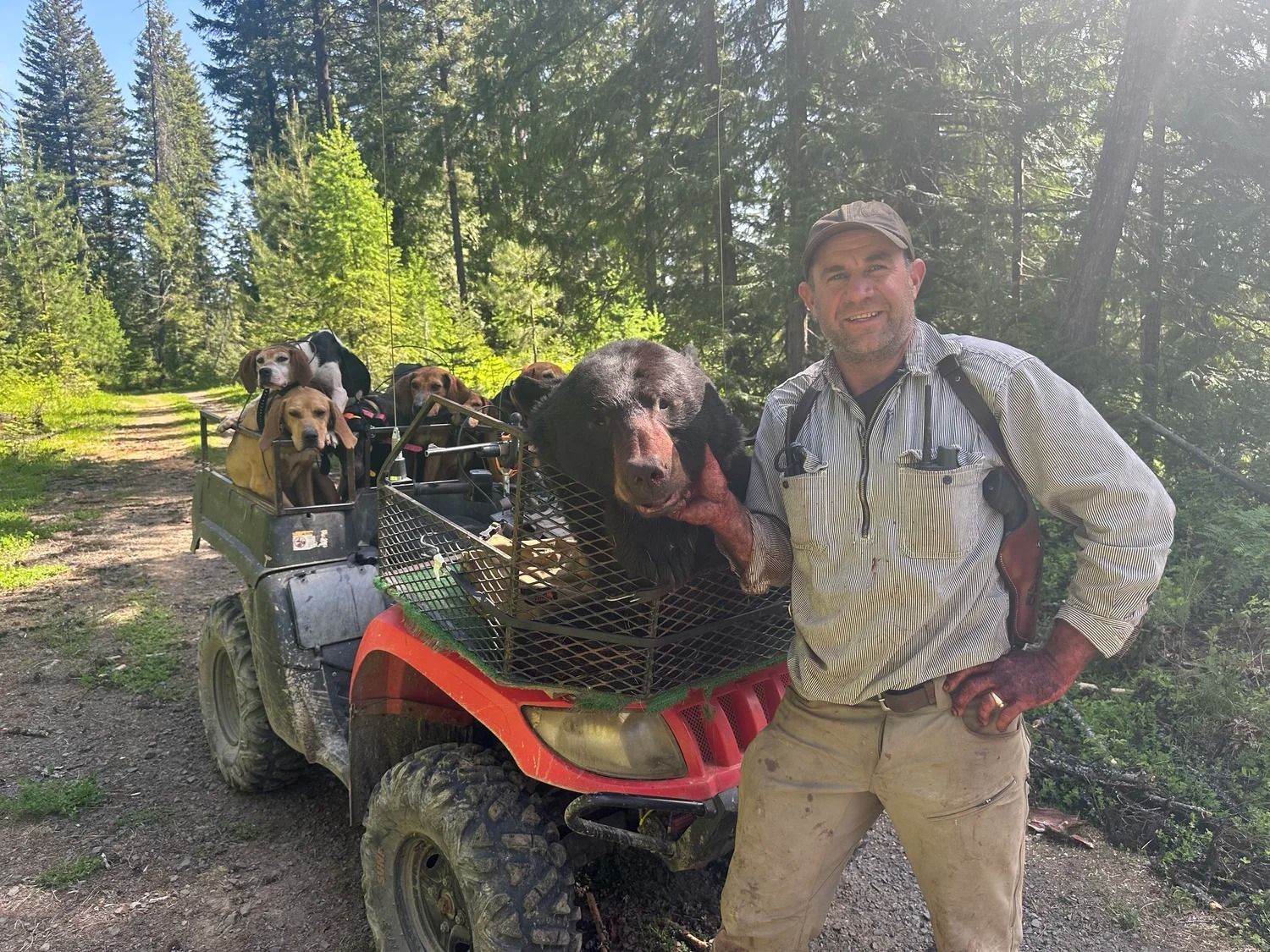 Idaho Whitetail Guides Bear Hunts
