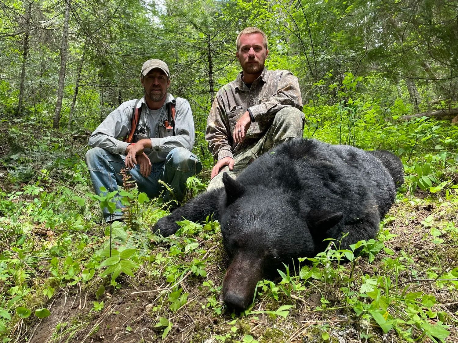 Idaho Whitetail Guides Bear Hunts