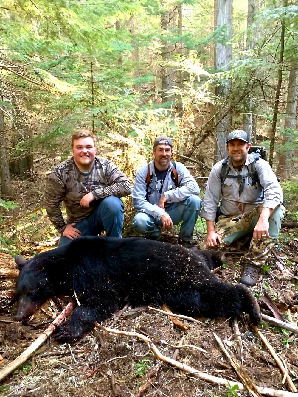 Idaho Whitetail Guides Bear Hunts