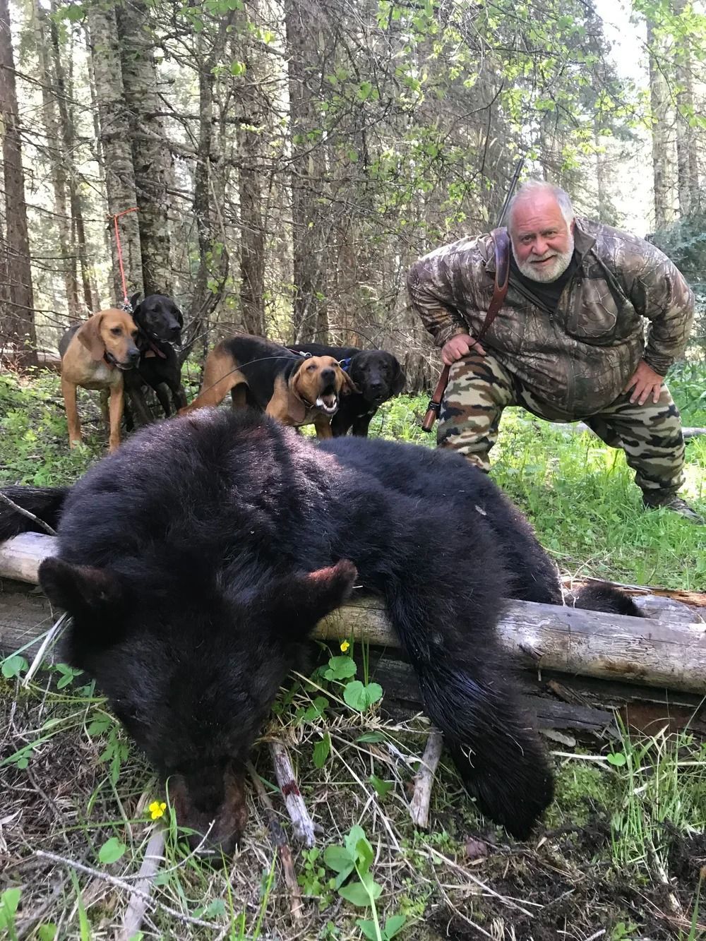 Idaho Whitetail Guides Bear Hunts