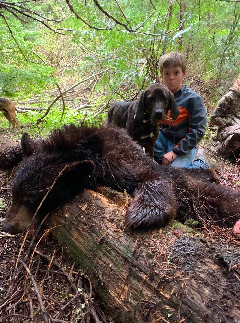 Idaho Whitetail Guides Bear Hunts