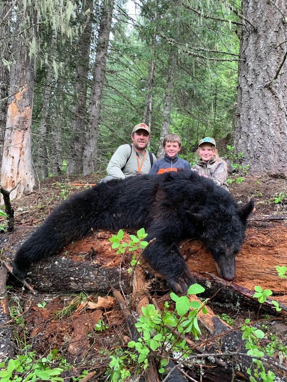 Idaho Whitetail Guides Bear Hunts