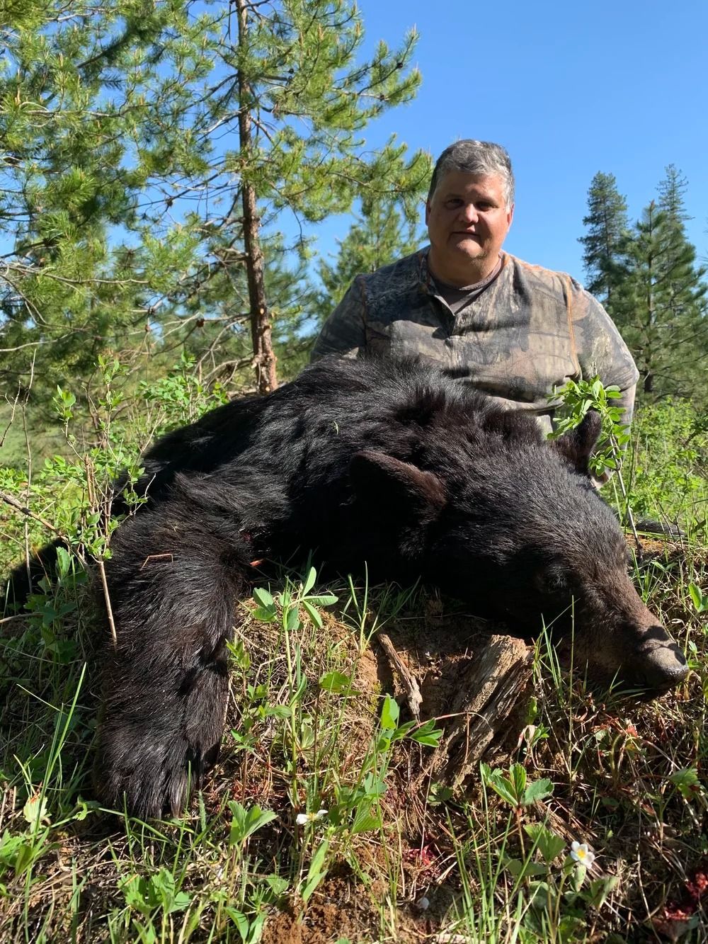 Idaho Whitetail Guides Bear Hunts