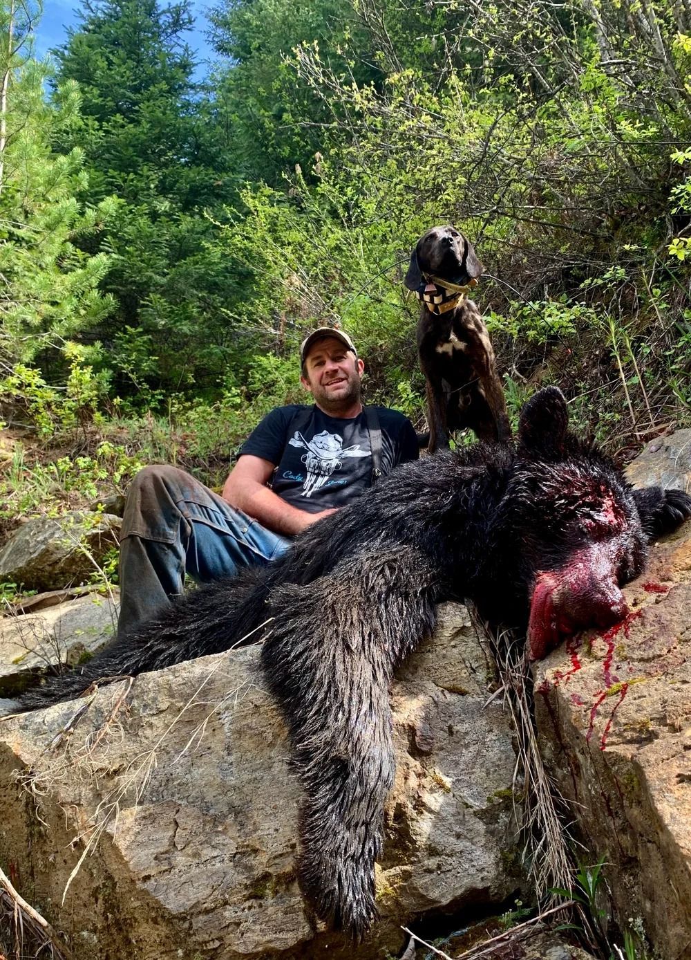 Idaho Whitetail Guides Bear Hunts