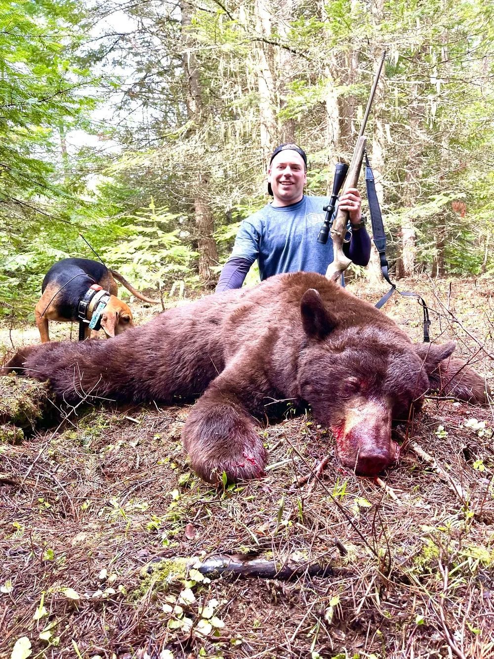 Idaho Whitetail Guides Bear Hunts