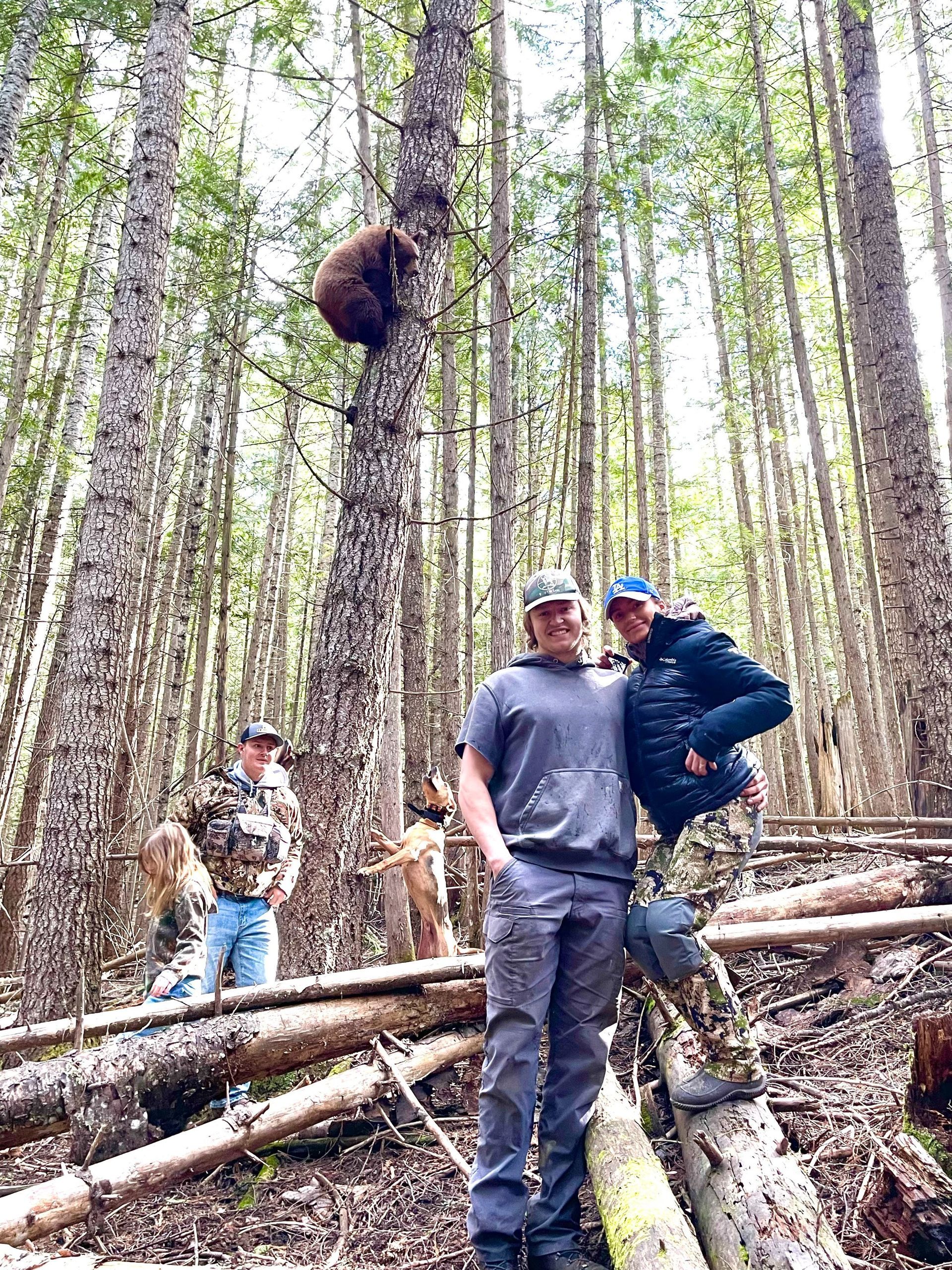 Idaho Whitetail Guides Bear Hunts