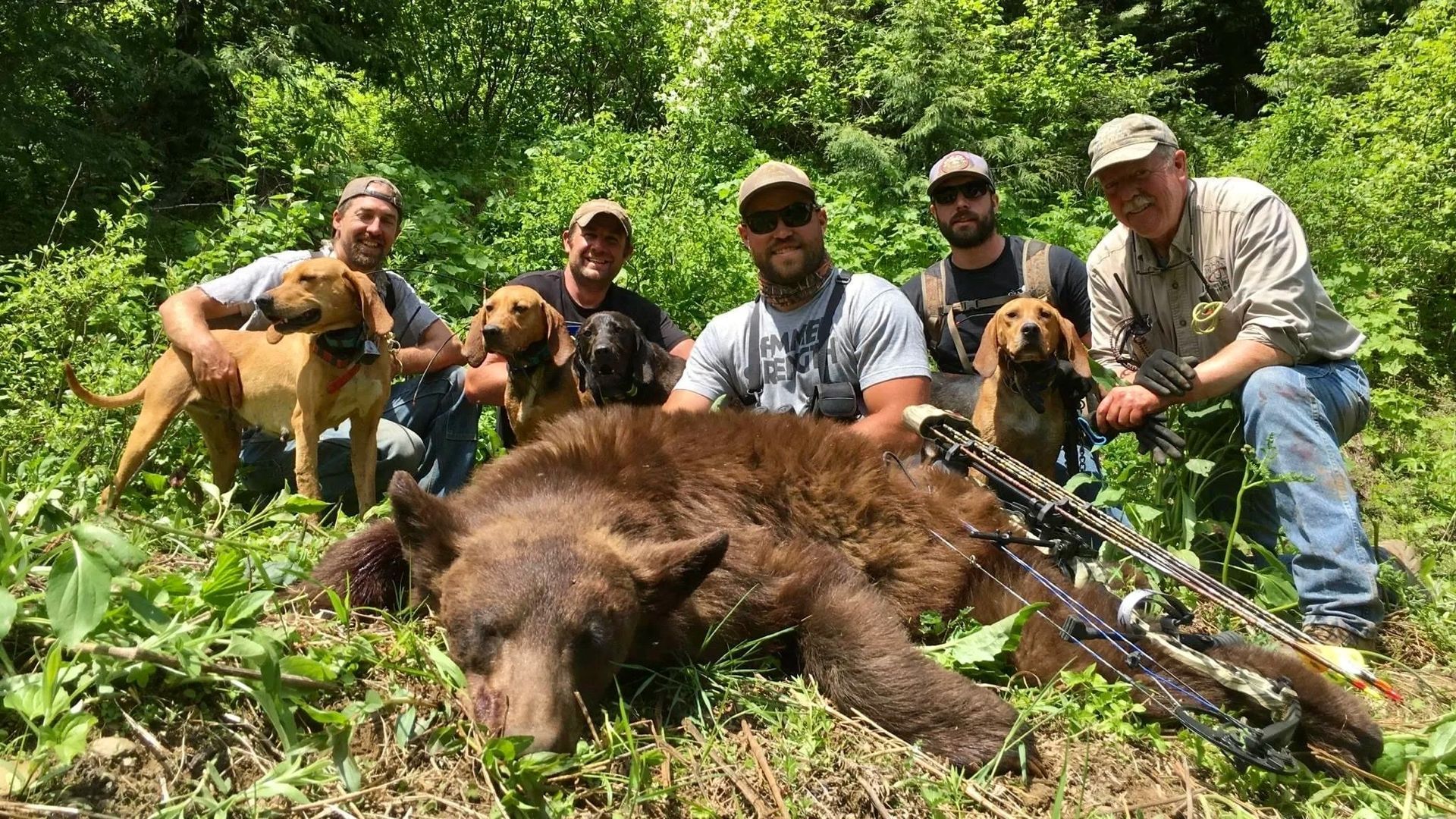 Idaho Whitetail Guides Bear Hunts