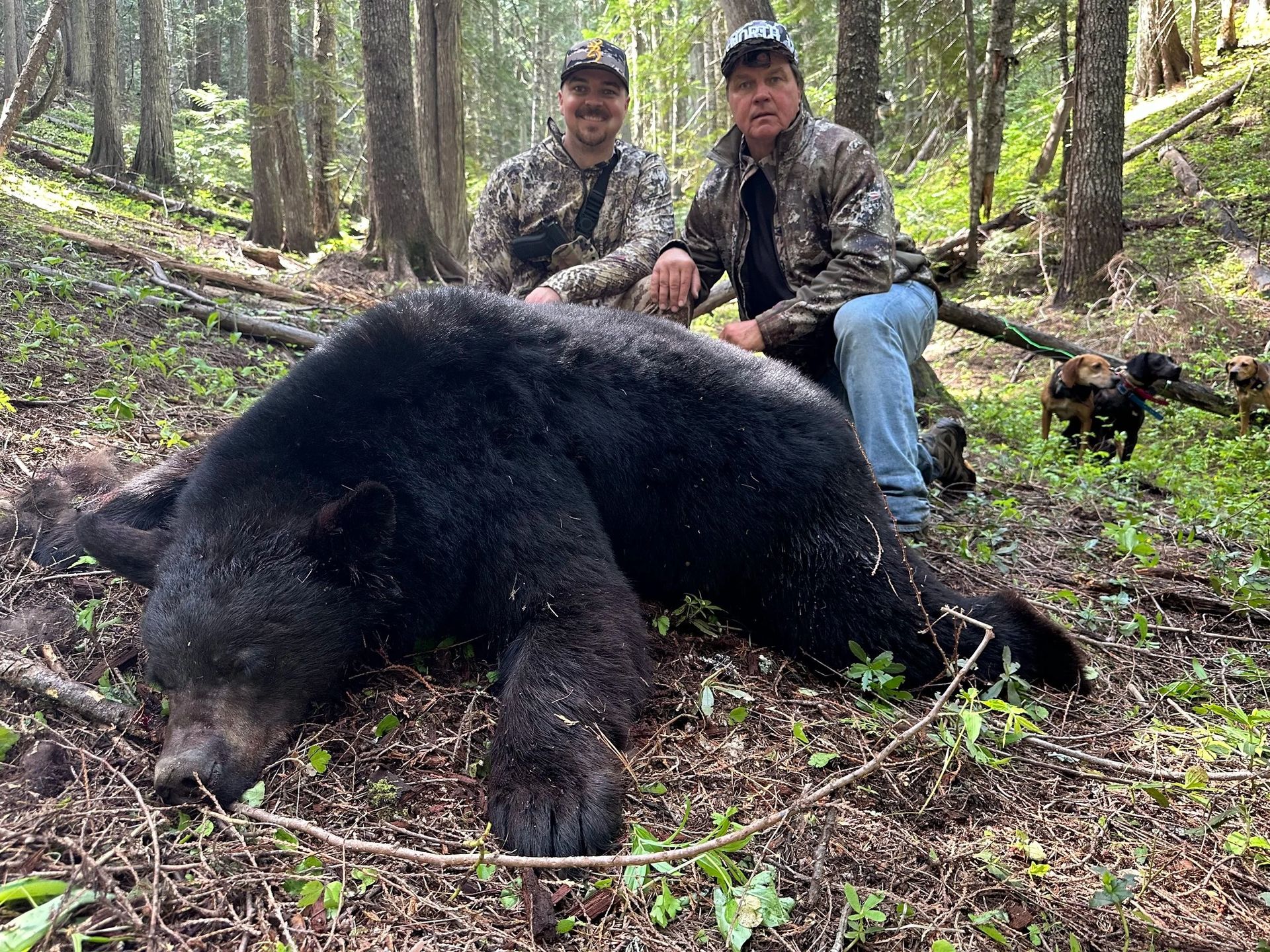 Idaho Whitetail Guides Bear Hunts
