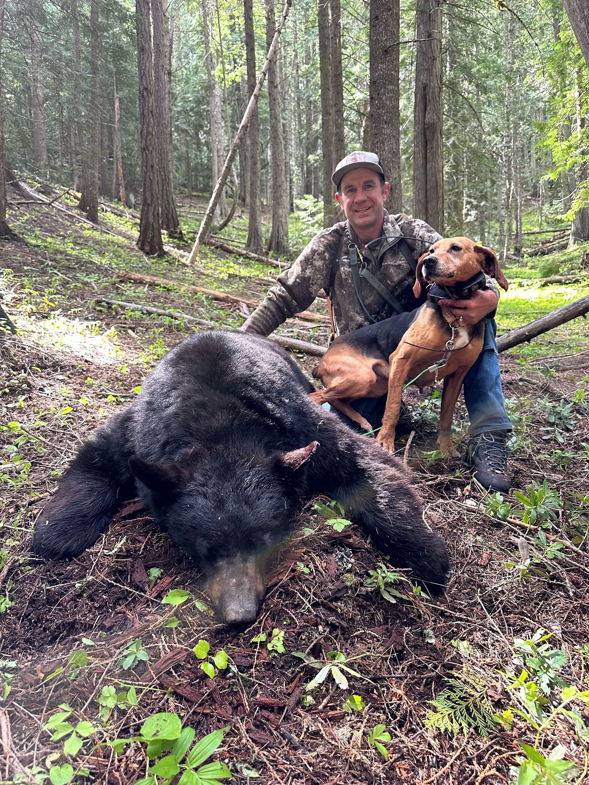 Idaho Whitetail Guides Bear Hunts