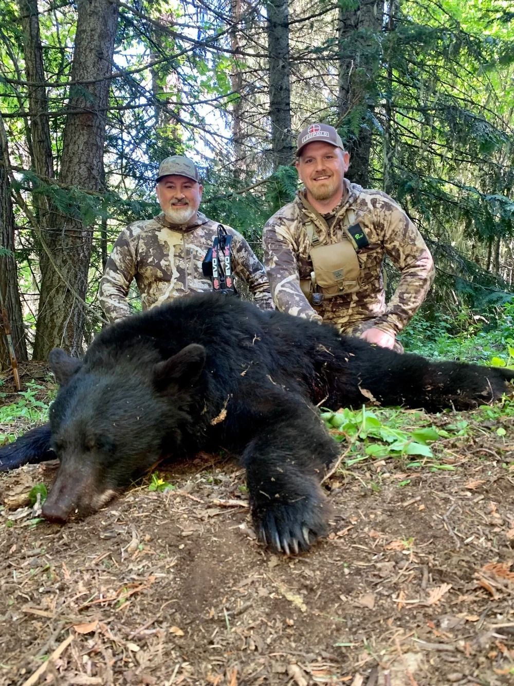 Idaho Whitetail Guides Bear Hunts