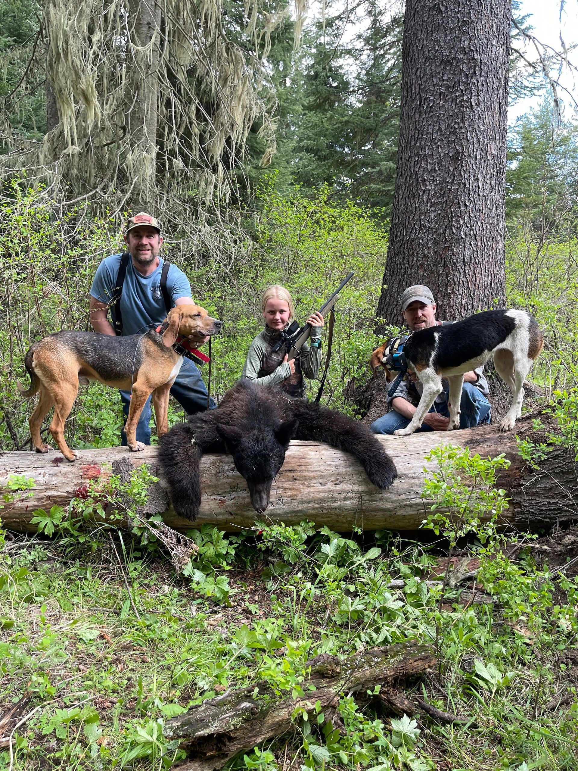 Bear