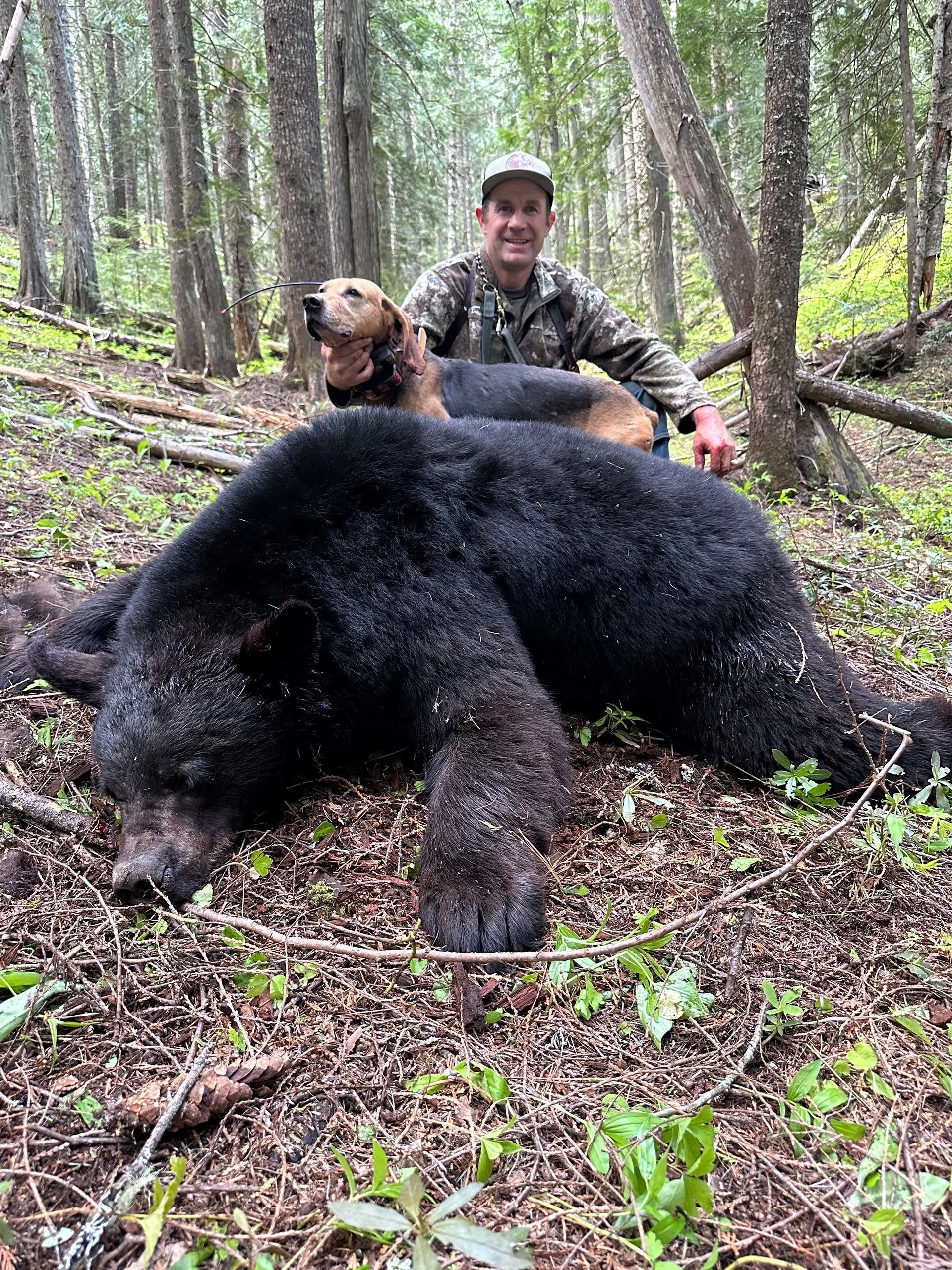 Idaho Whitetail Guides Bear Hunts