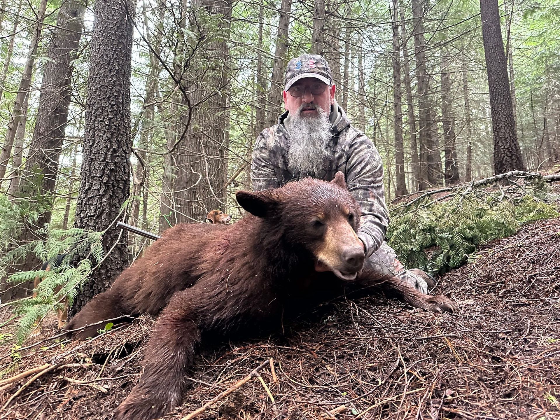 Idaho Whitetail Guides Bear Hunts
