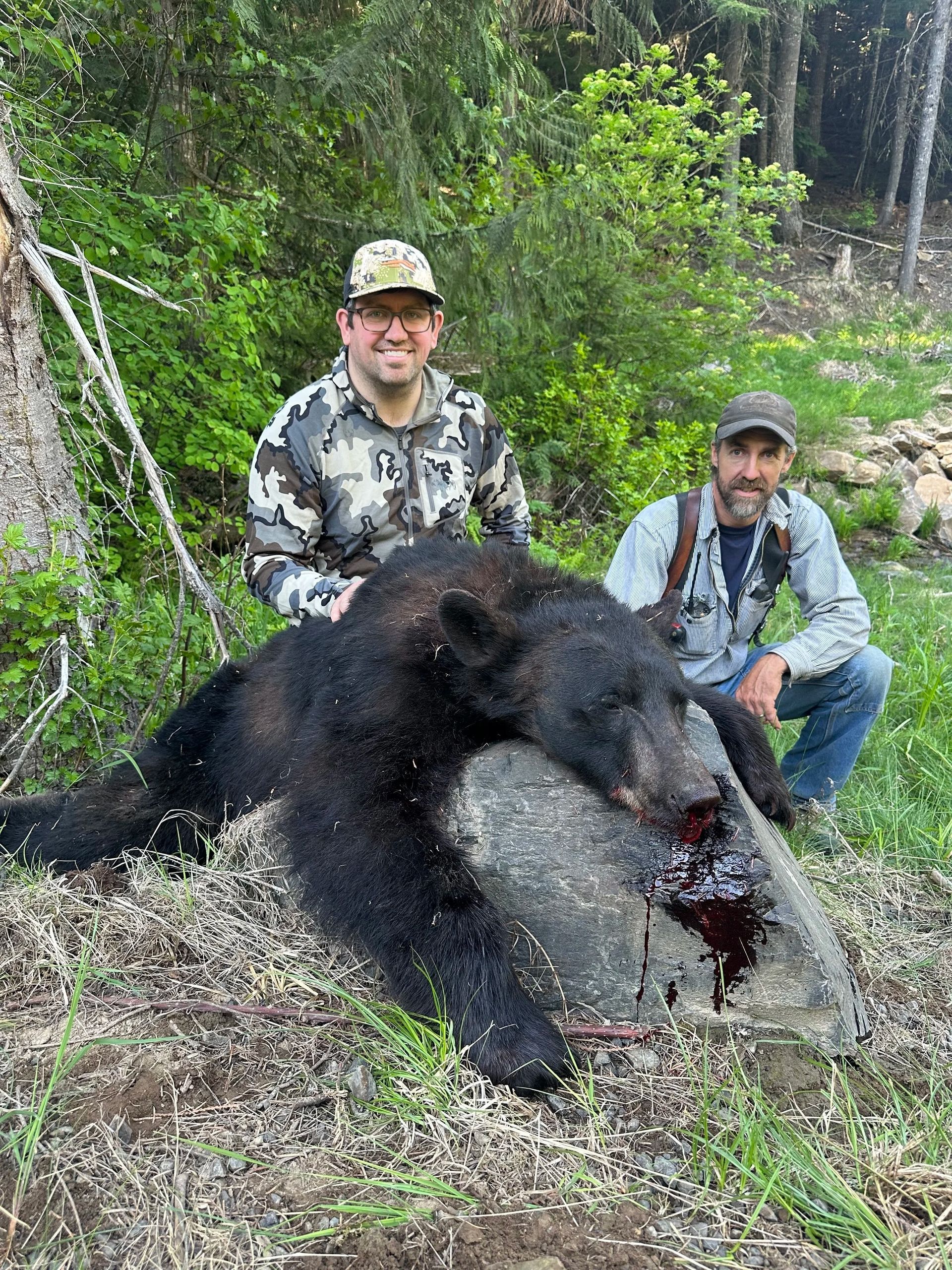 Idaho Whitetail Guides Bear Hunts