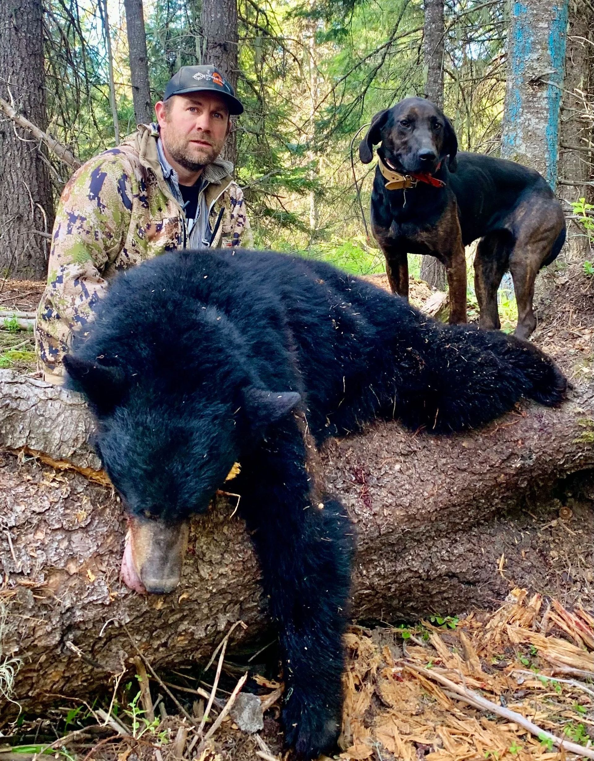 Idaho Whitetail Guides Bear Hunts