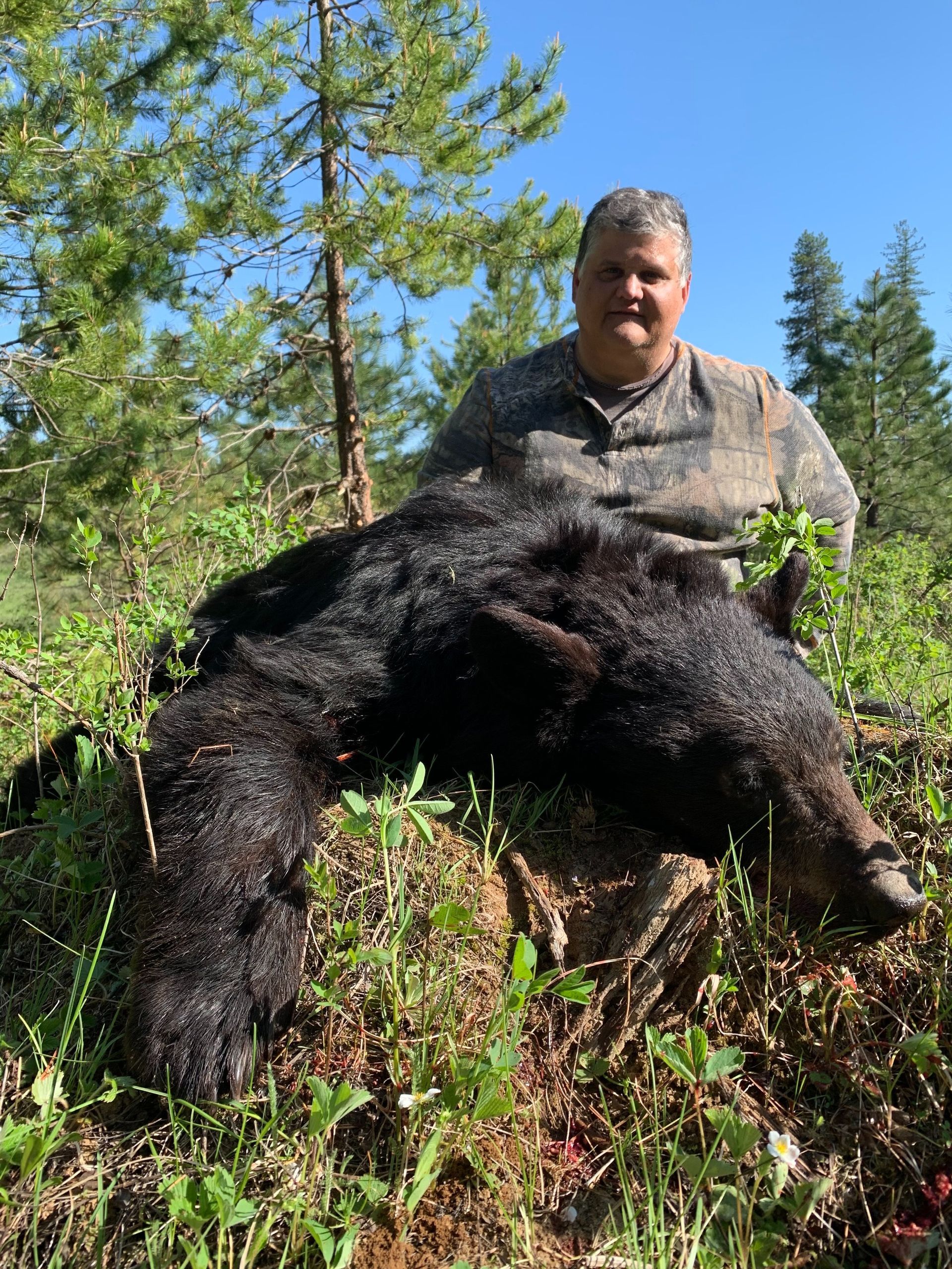 Idaho Whitetail Guides Bear Hunts