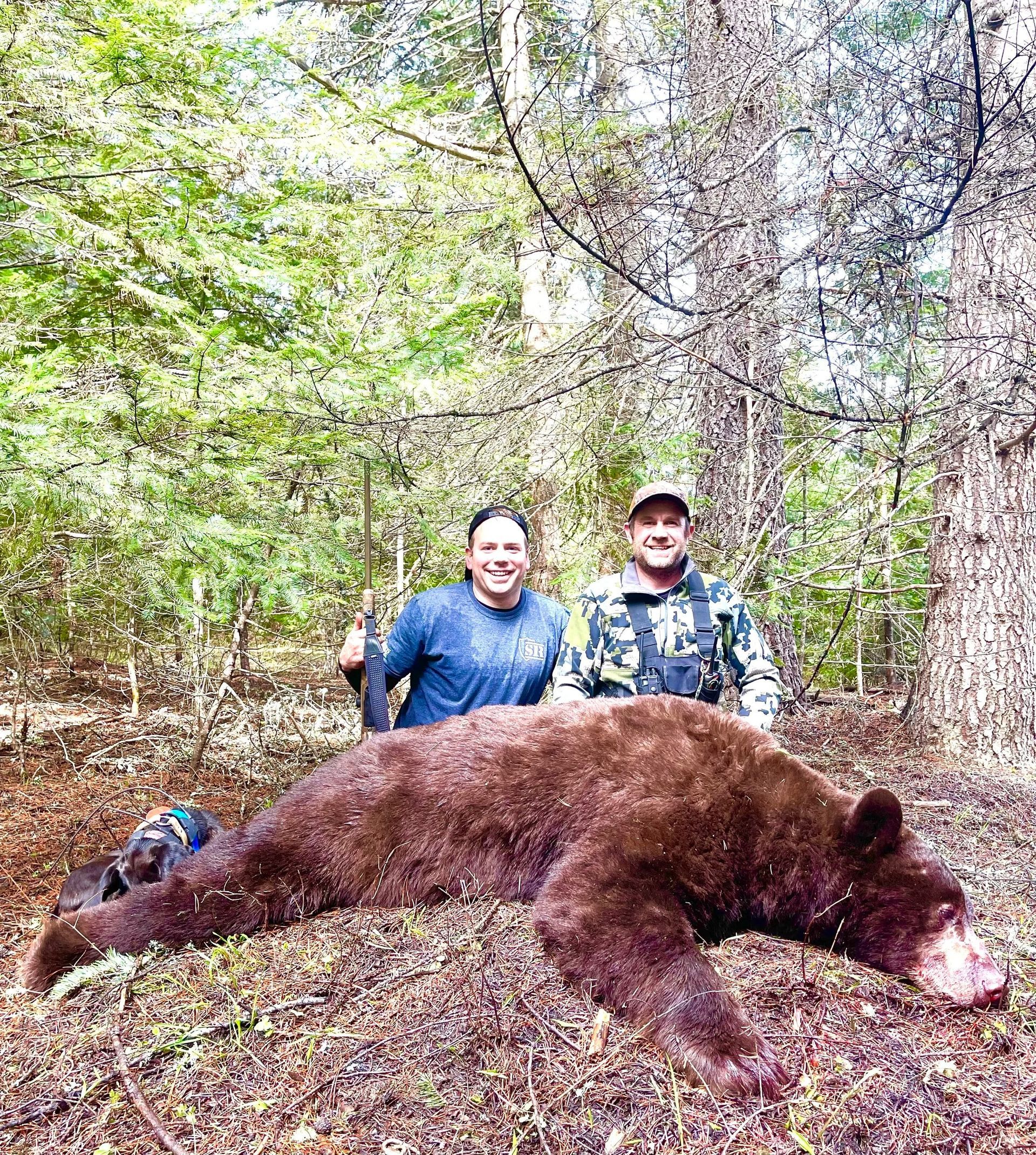 Idaho Whitetail Guides Bear Hunts