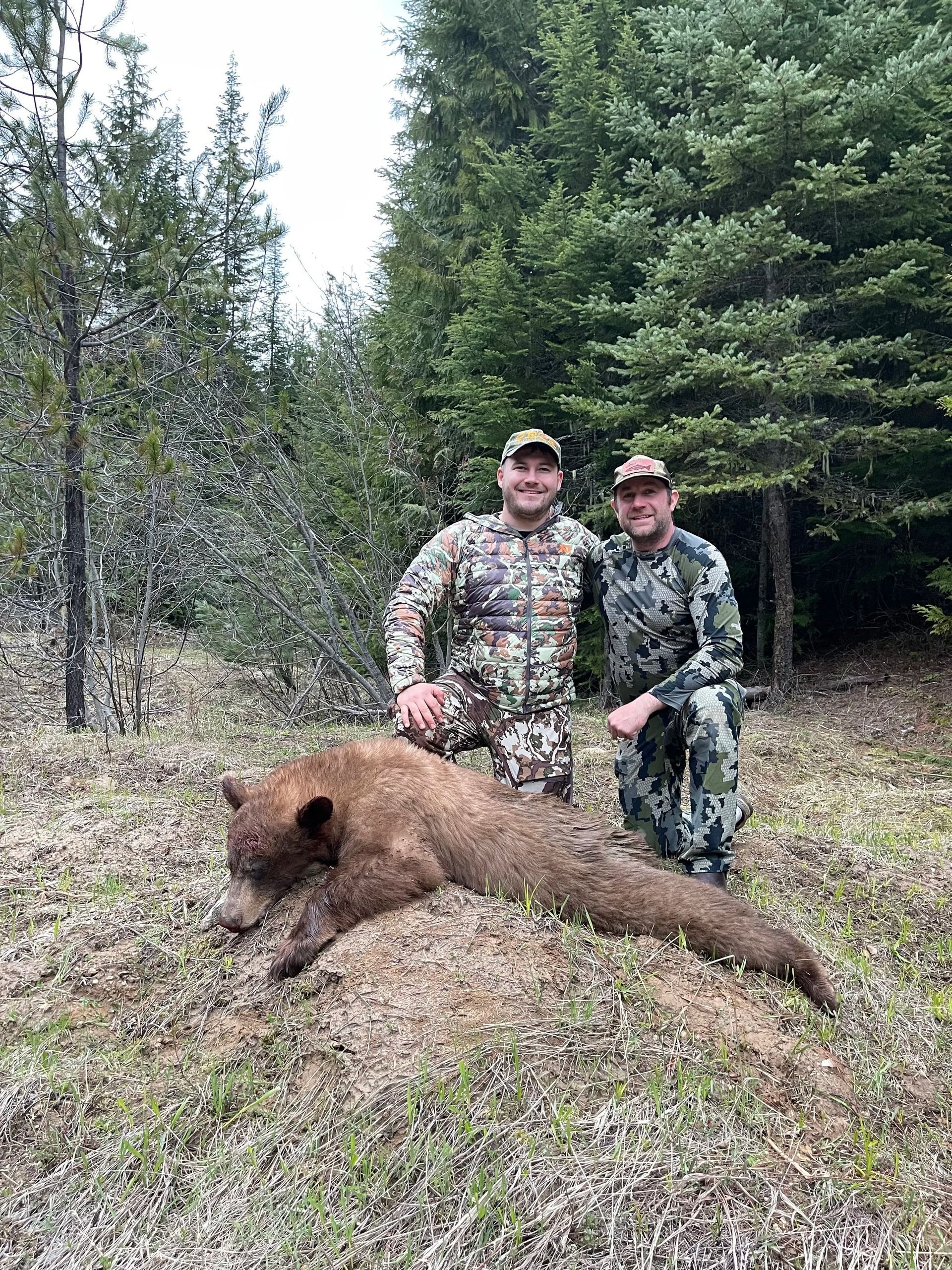 Idaho Whitetail Guides Bear Hunts