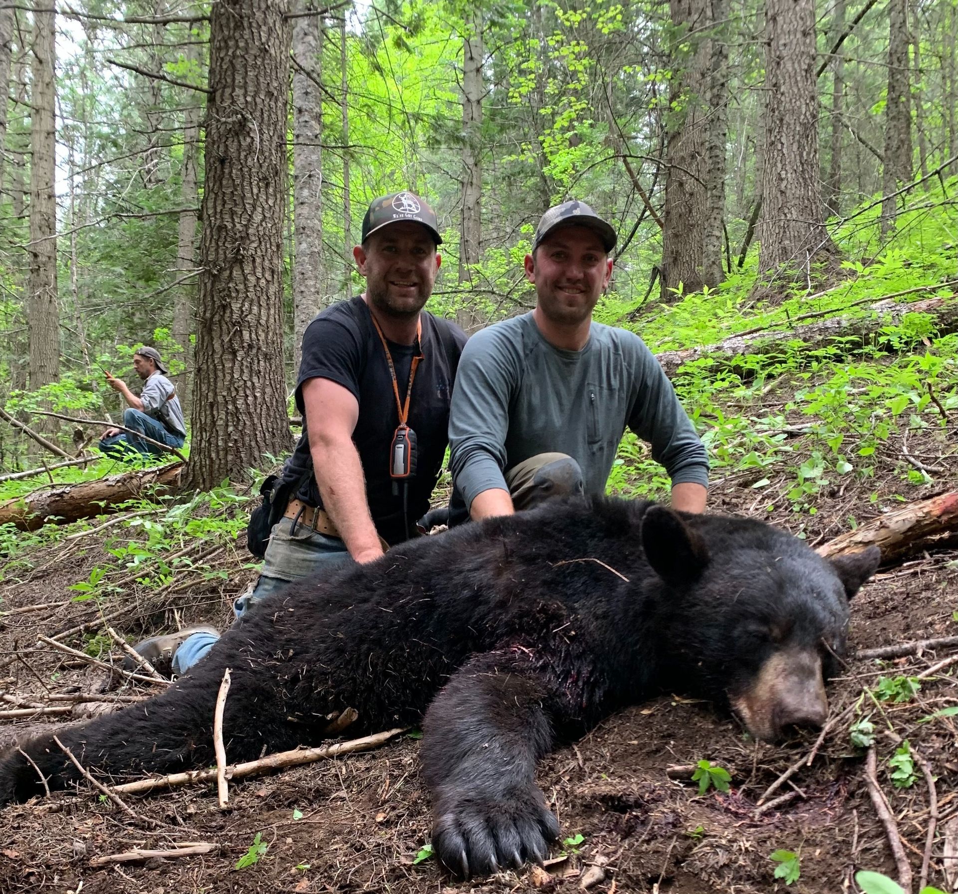 Idaho Whitetail Guides Bear Hunts