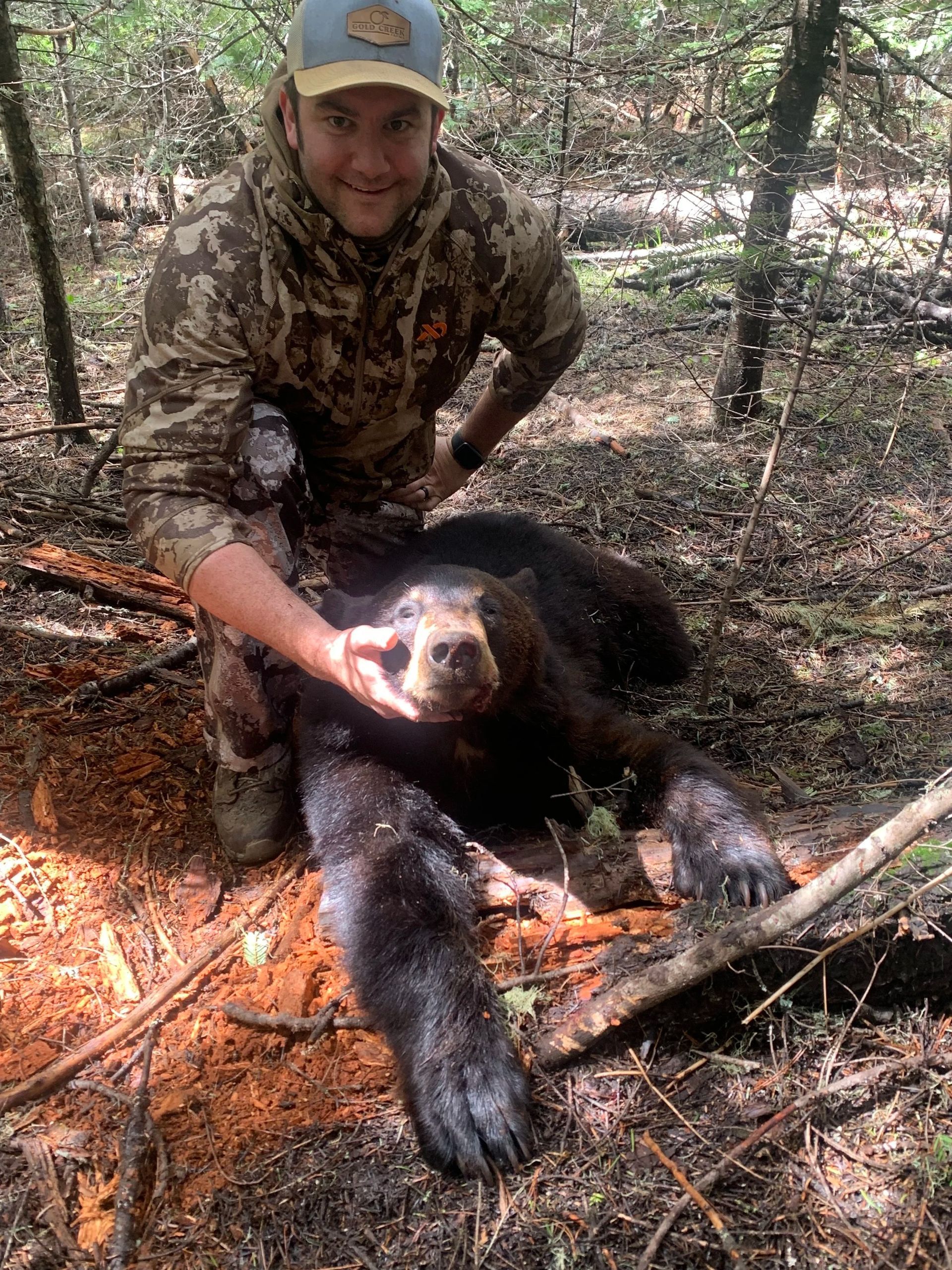 Idaho Whitetail Guides Bear Hunts