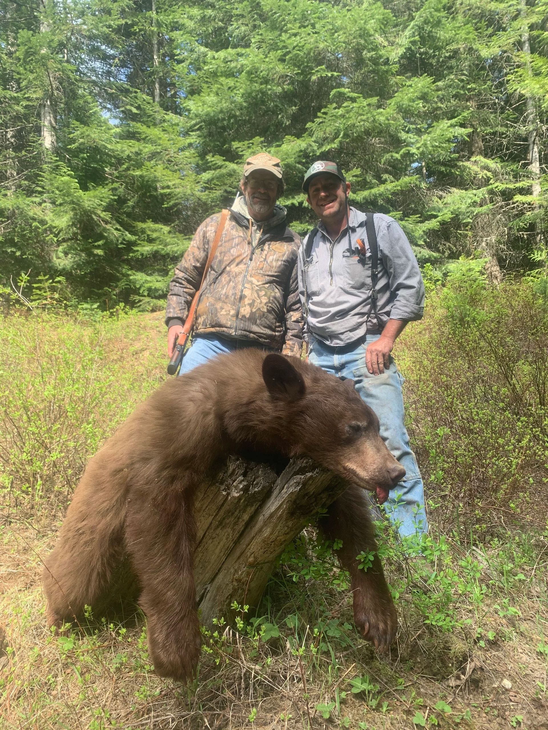 Idaho Whitetail Guides Bear Hunts