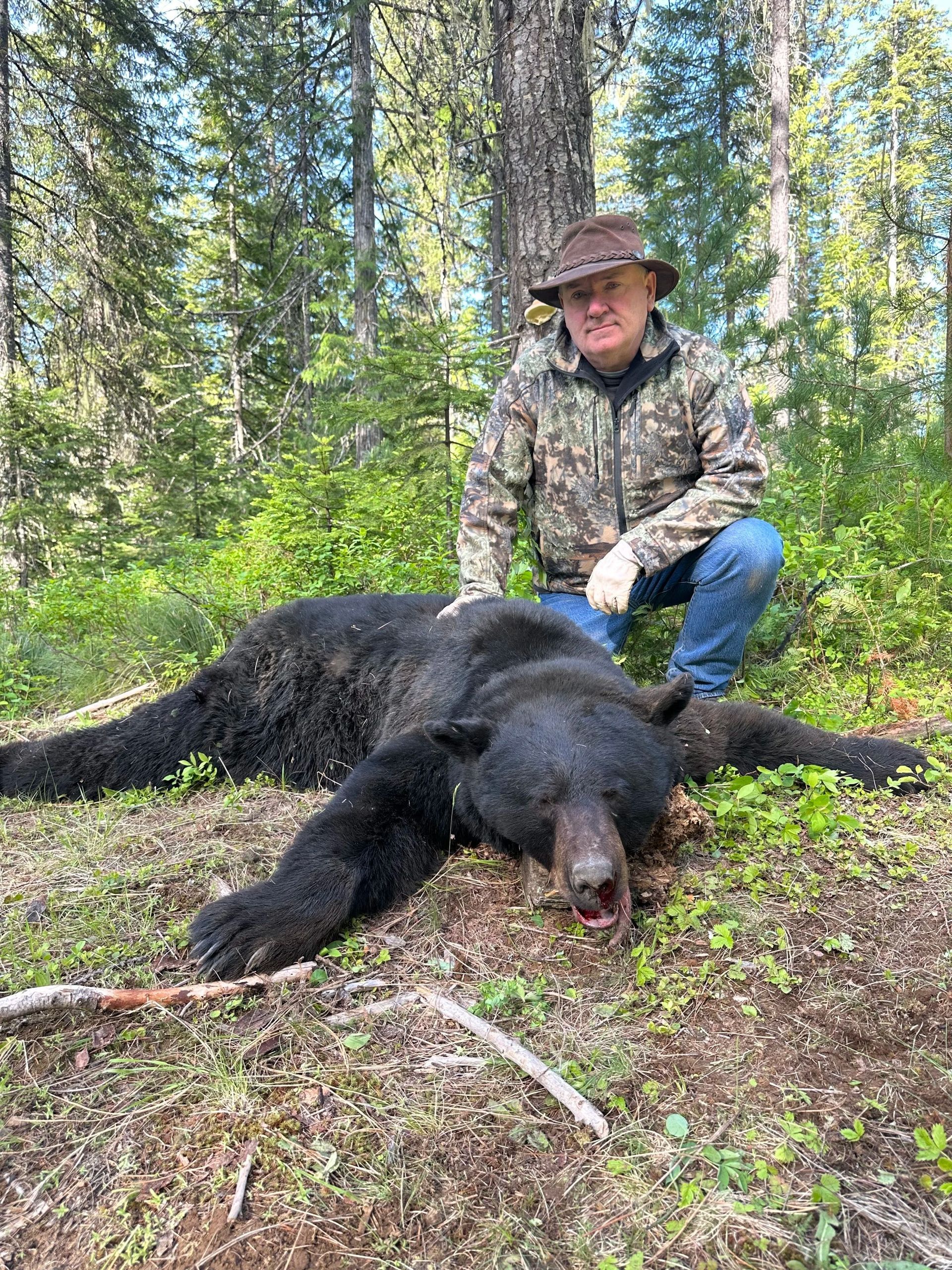 Idaho Whitetail Guides Bear Hunts