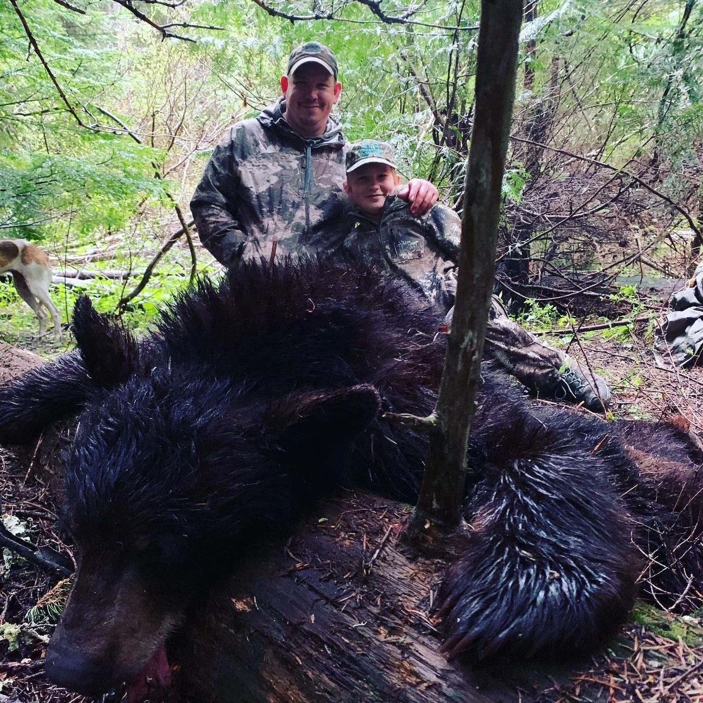 Idaho Whitetail Guides Bear Hunts