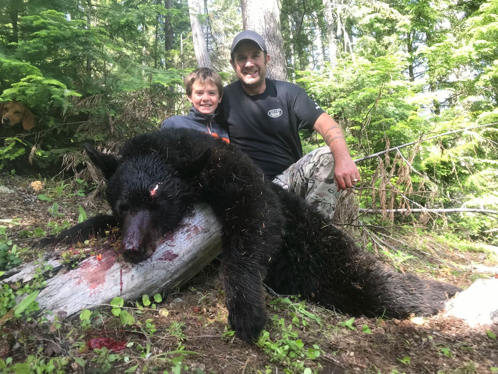 Idaho Whitetail Guides Bear Hunts