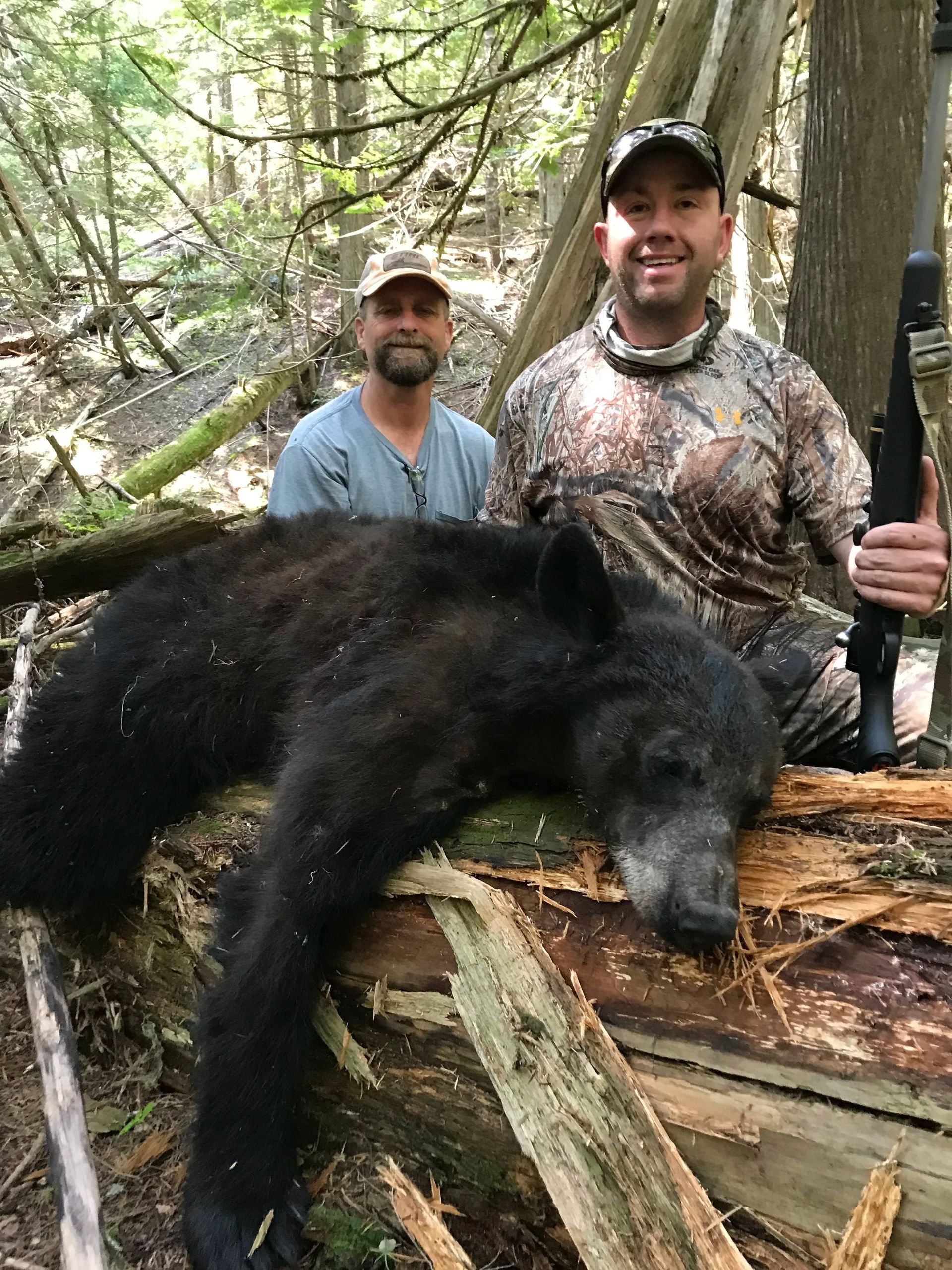 Idaho Whitetail Guides Bear Hunts