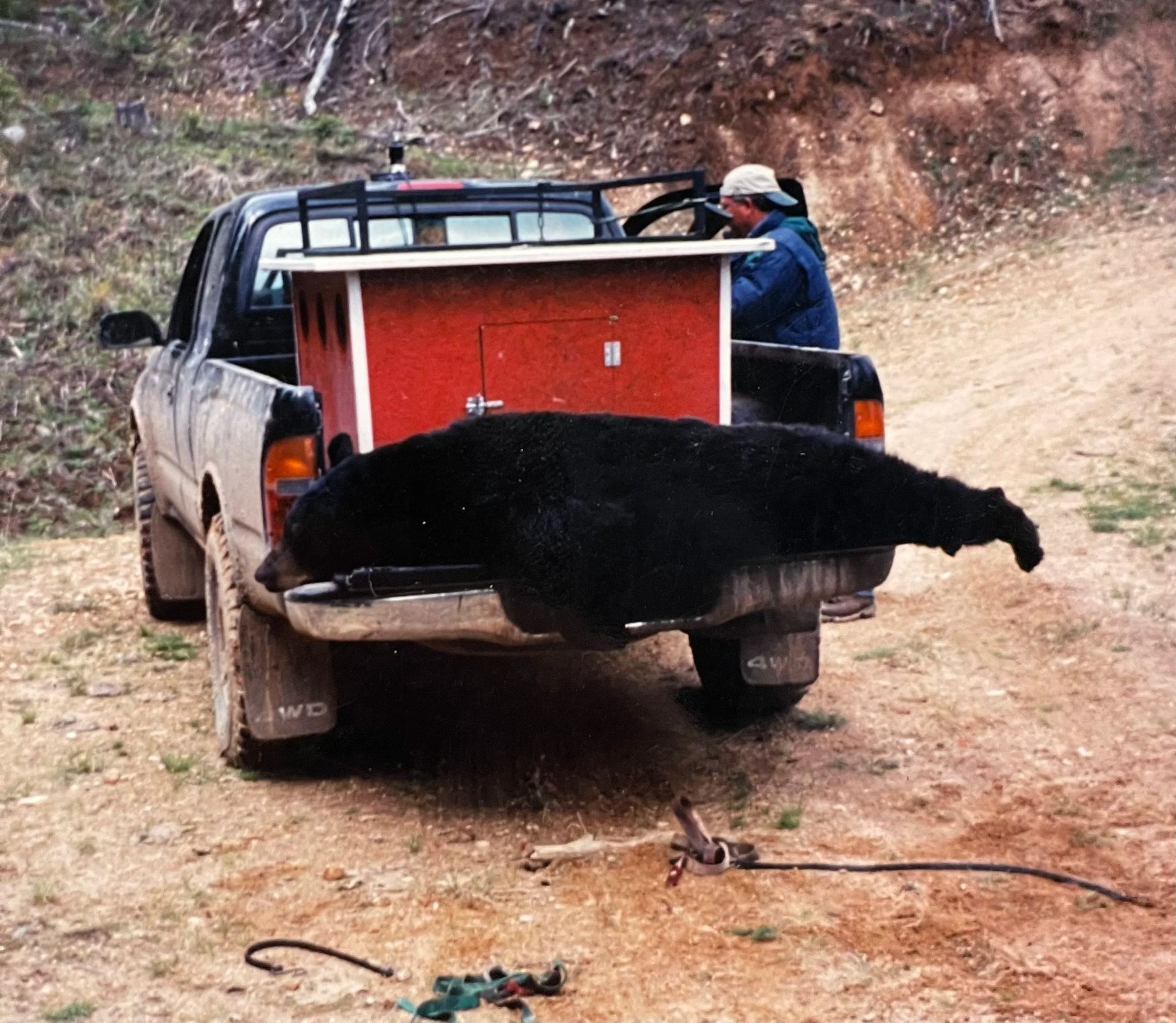 Idaho Whitetail Guides Bear Hunts