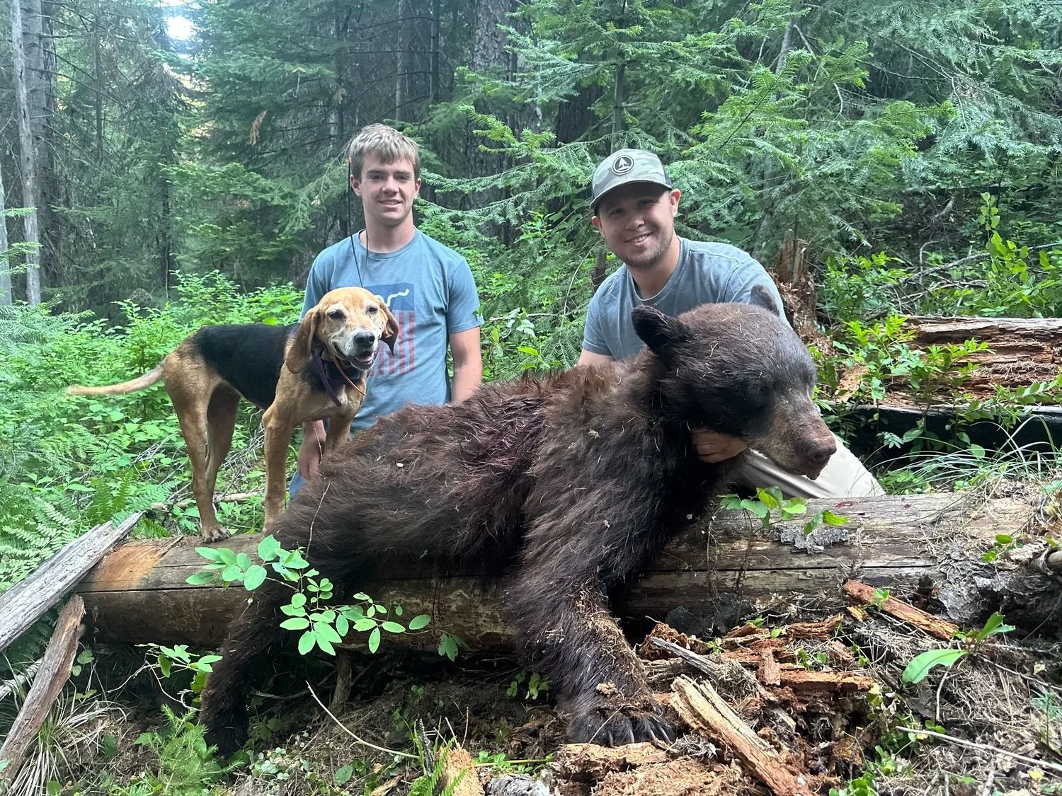 Idaho Whitetail Guides Bear Hunts