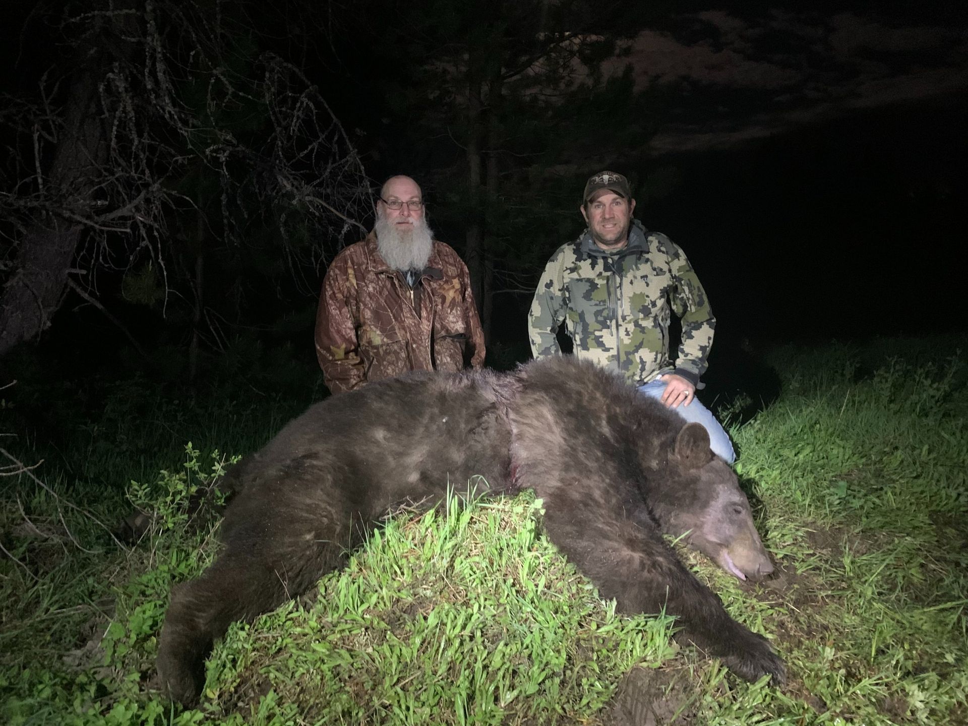 Idaho Whitetail Guides Bear Hunts