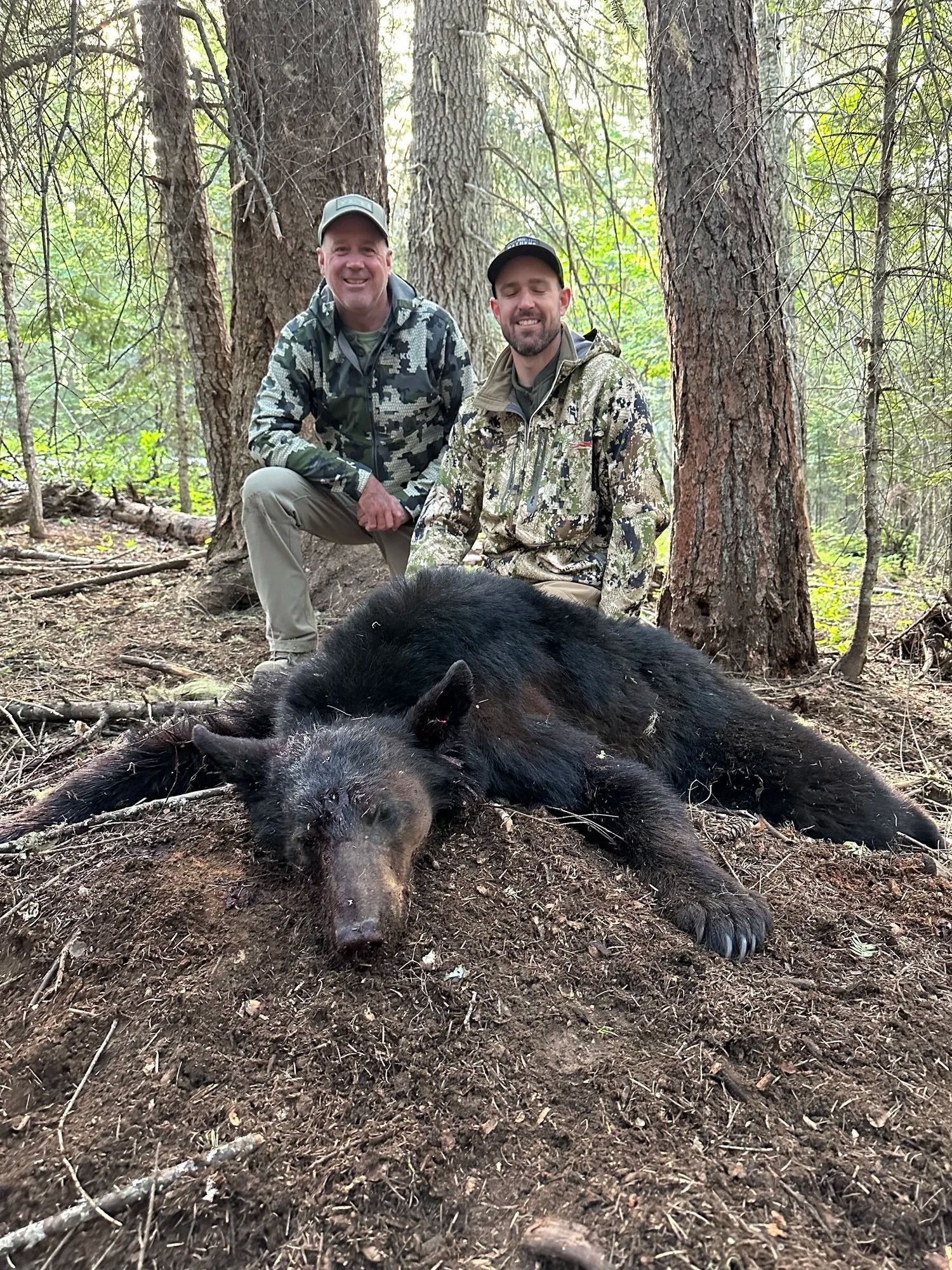 Idaho Whitetail Guides Bear Hunts