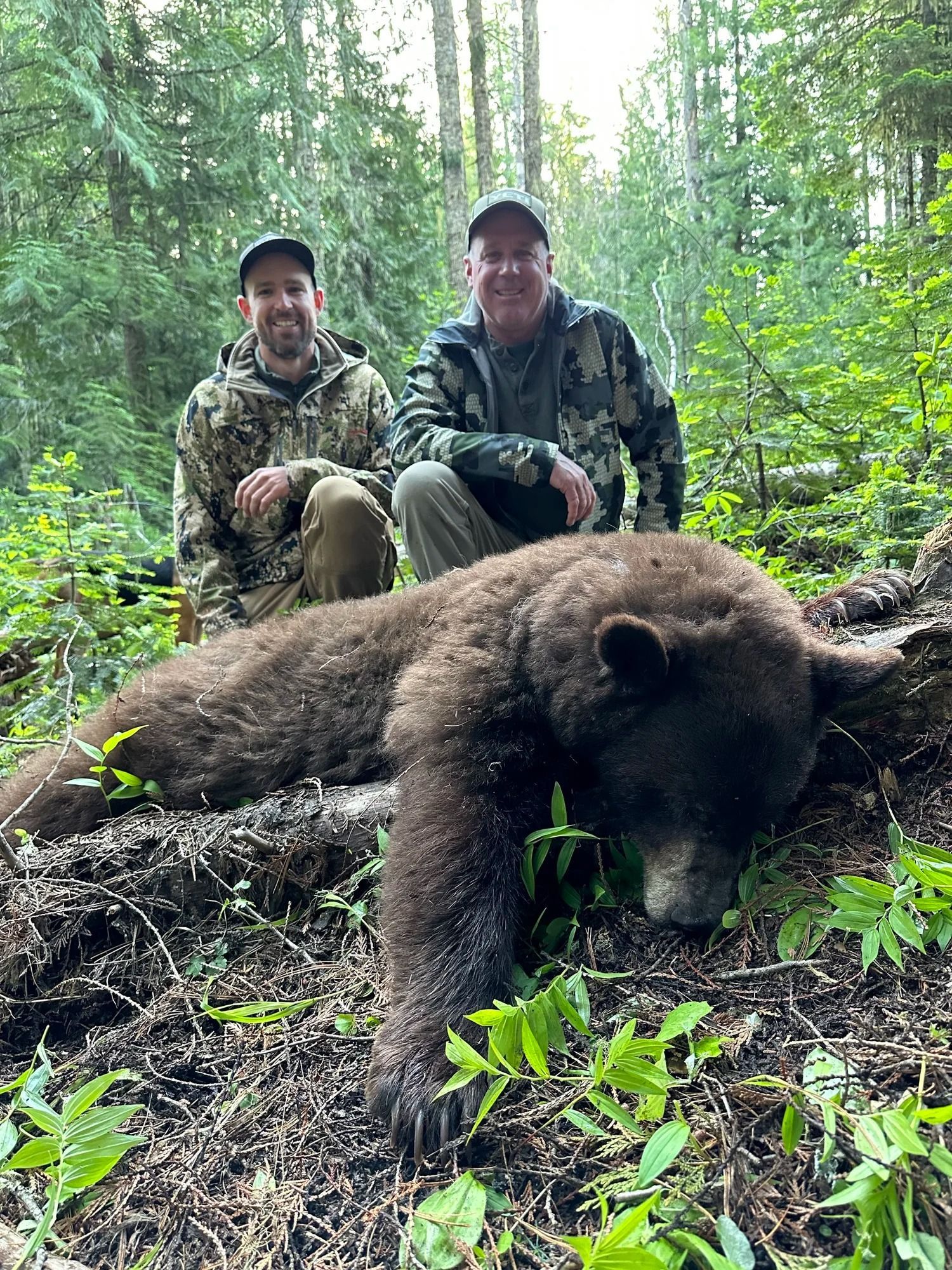 Idaho Whitetail Guides Bear Hunts