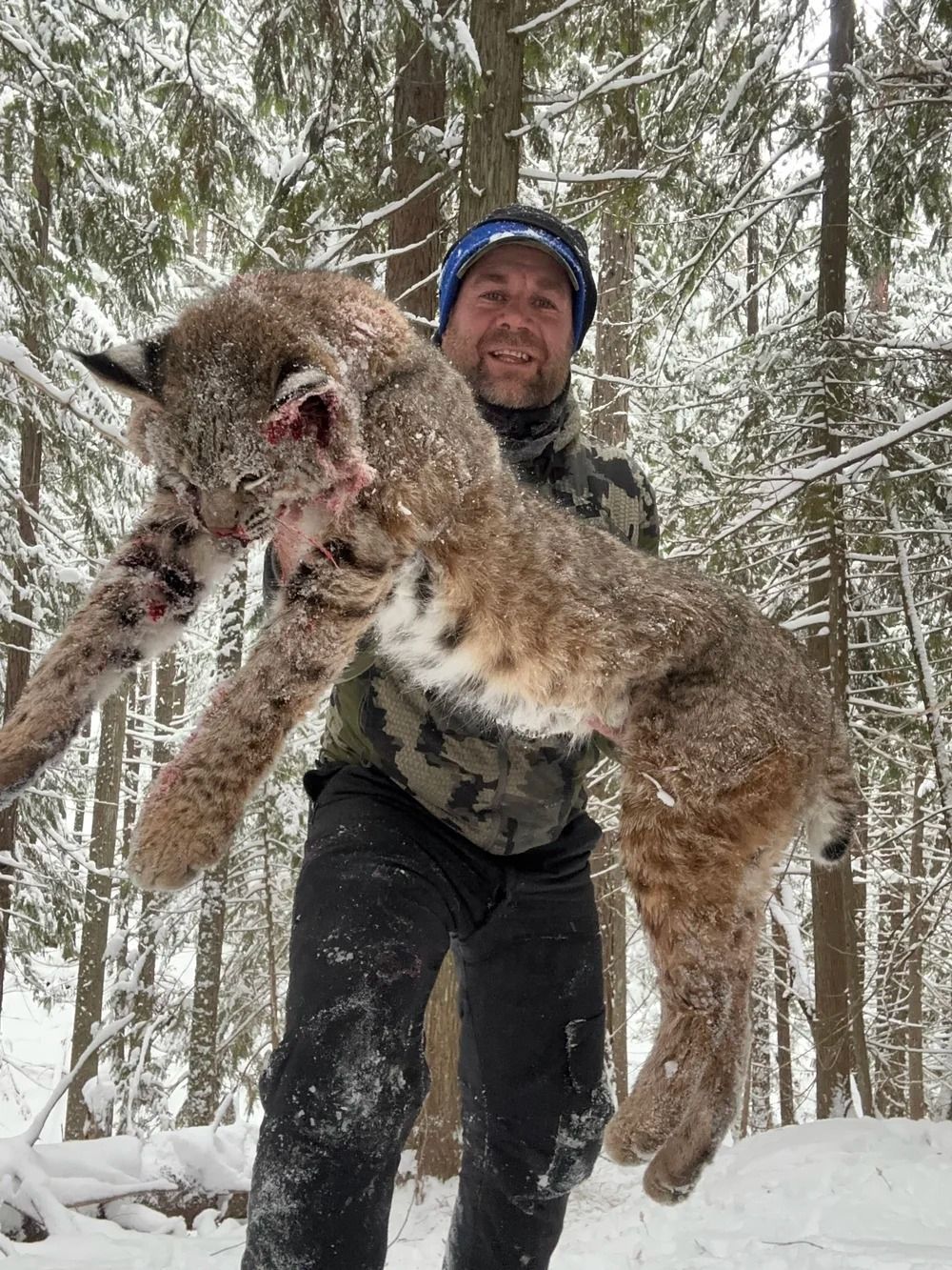 Idaho Whitetail Guides Bobcat Hunts