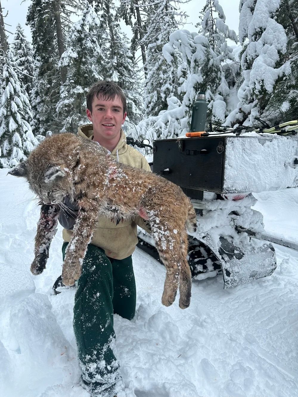 Idaho Whitetail Guides Bobcat Hunts